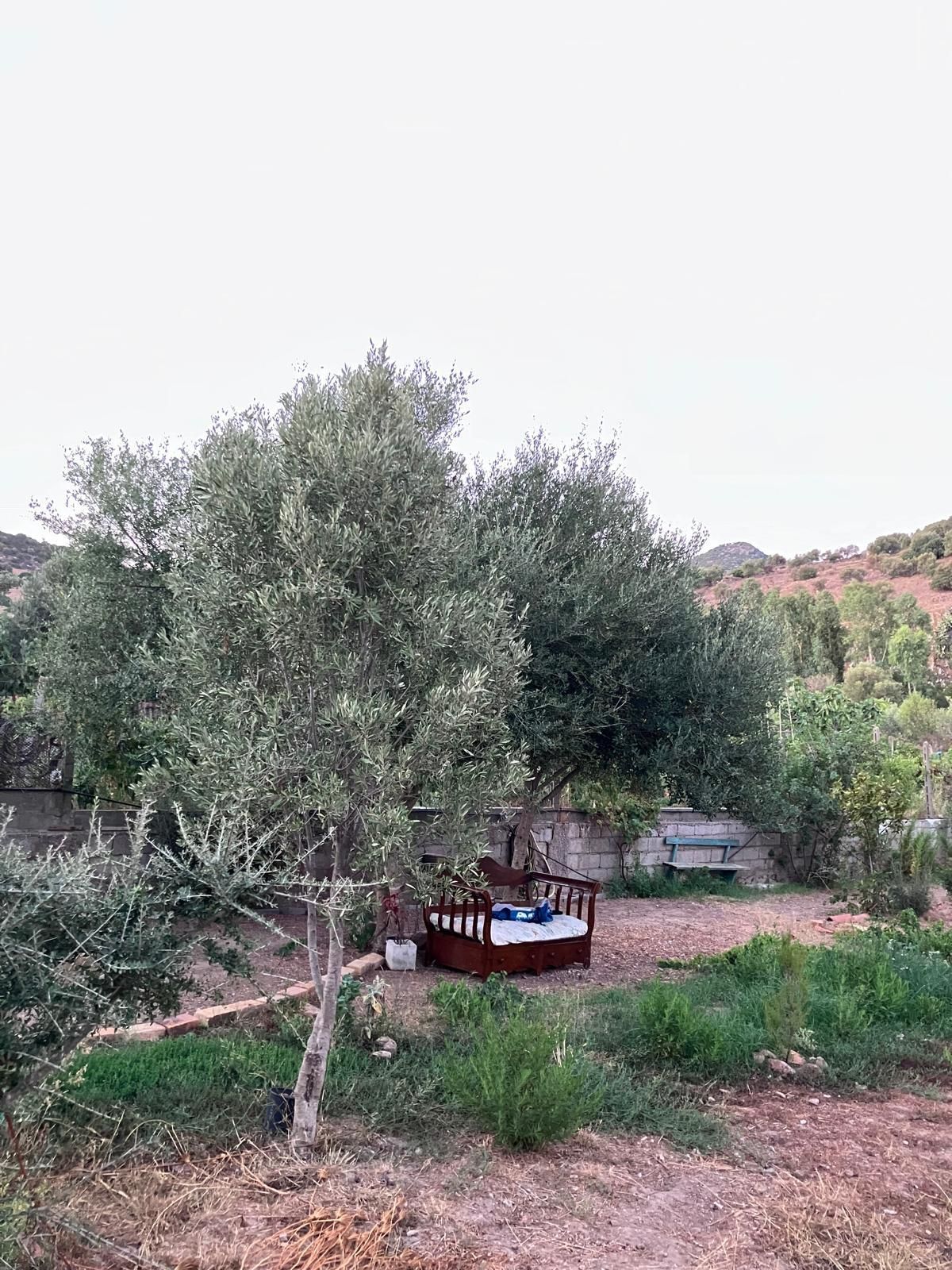 Residencia holística en la campiña sarda
