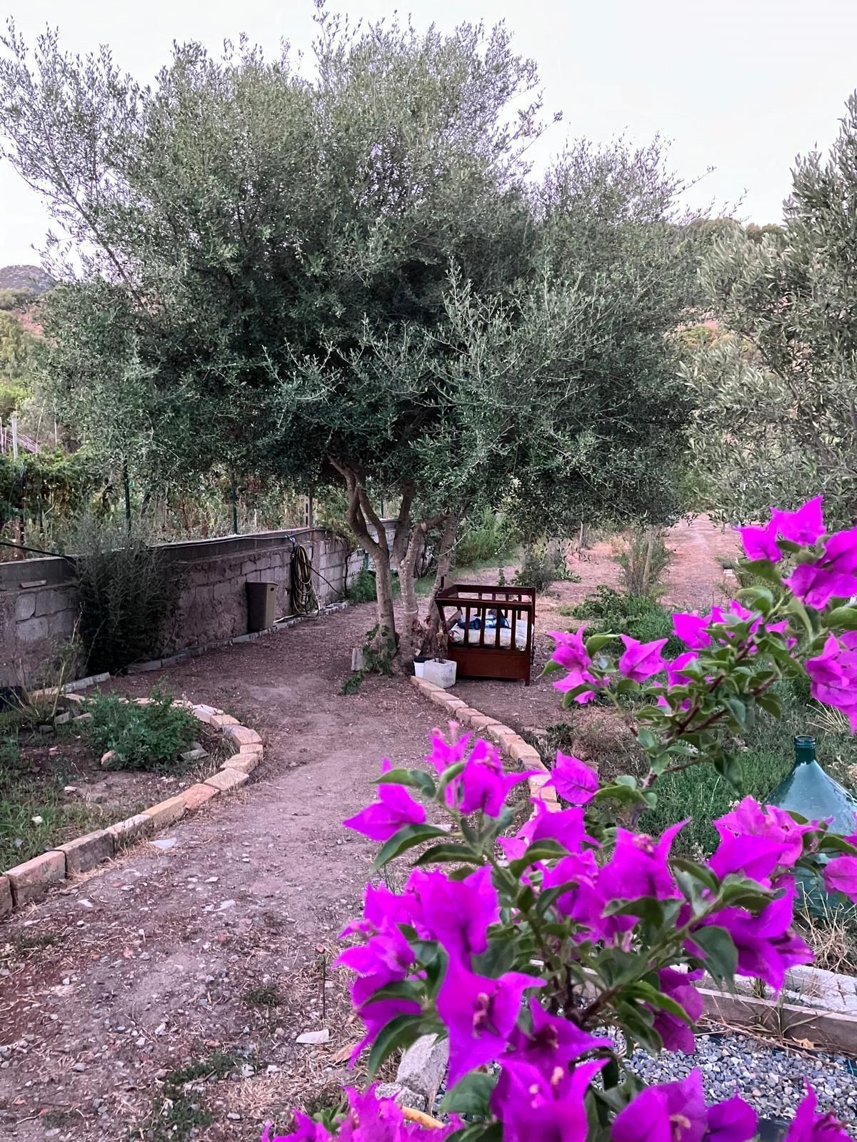 Residencia holística en la campiña sarda