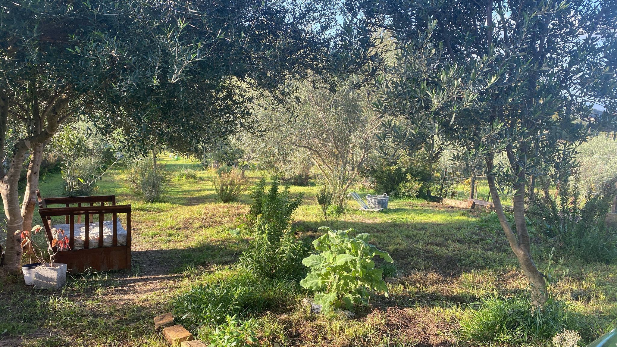 Residencia holística en la campiña sarda