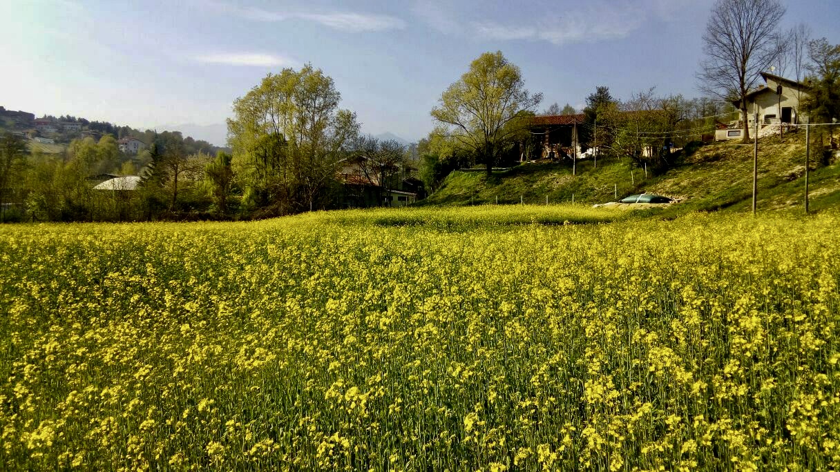 Agricamping in the hills of Biella