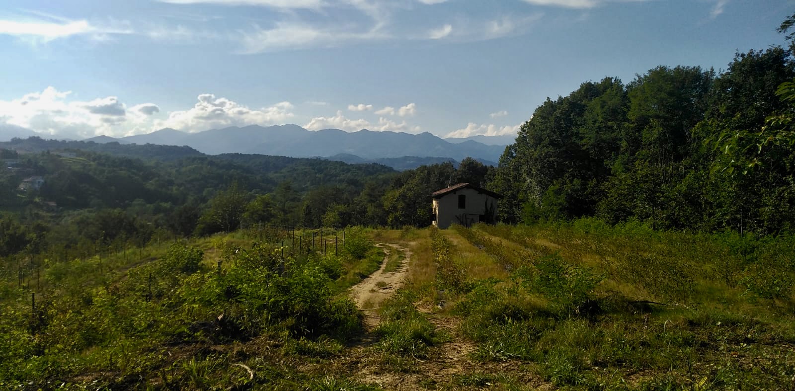 Agricamping in the hills of Biella