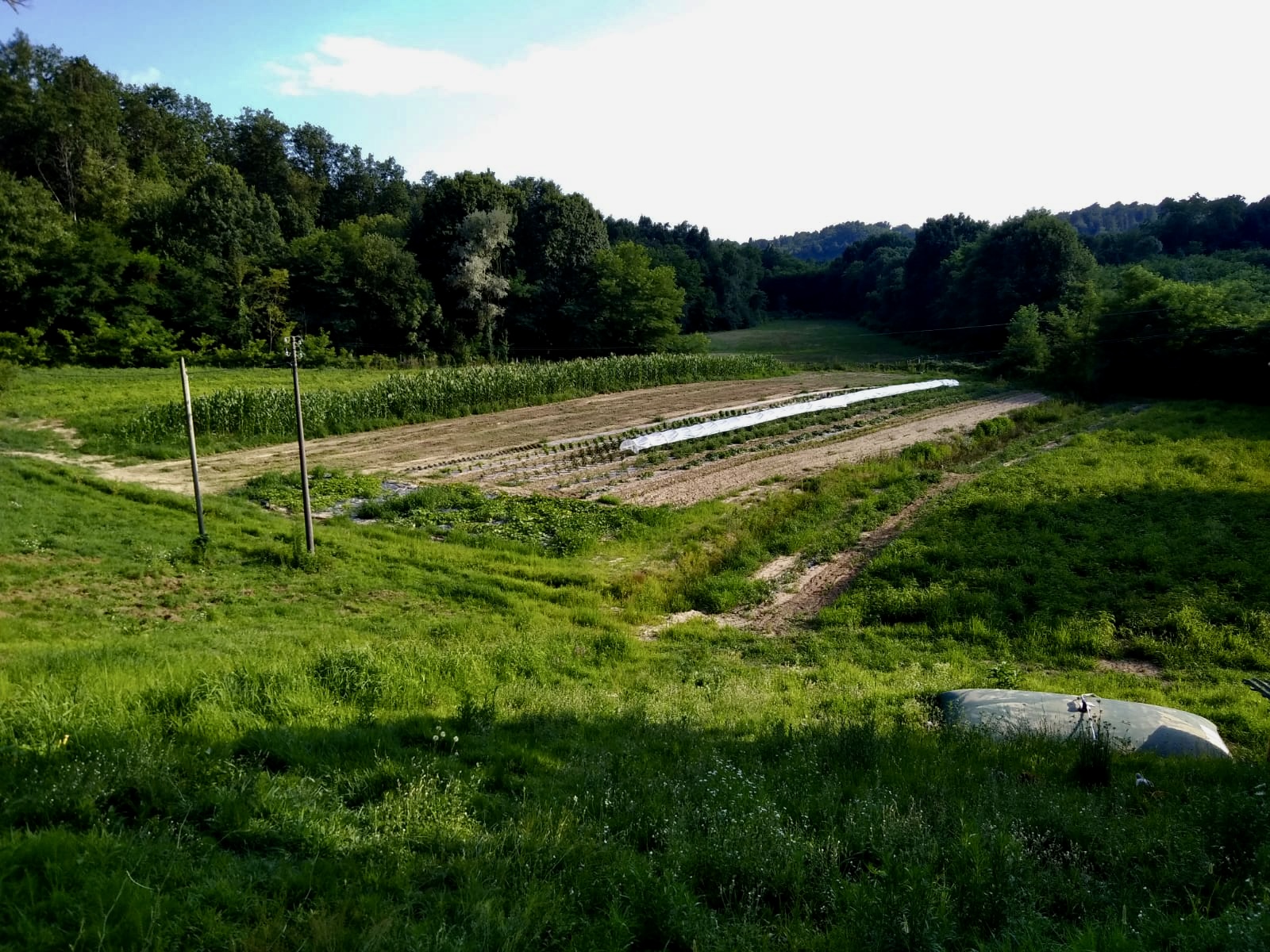 Agricamping in the hills of Biella