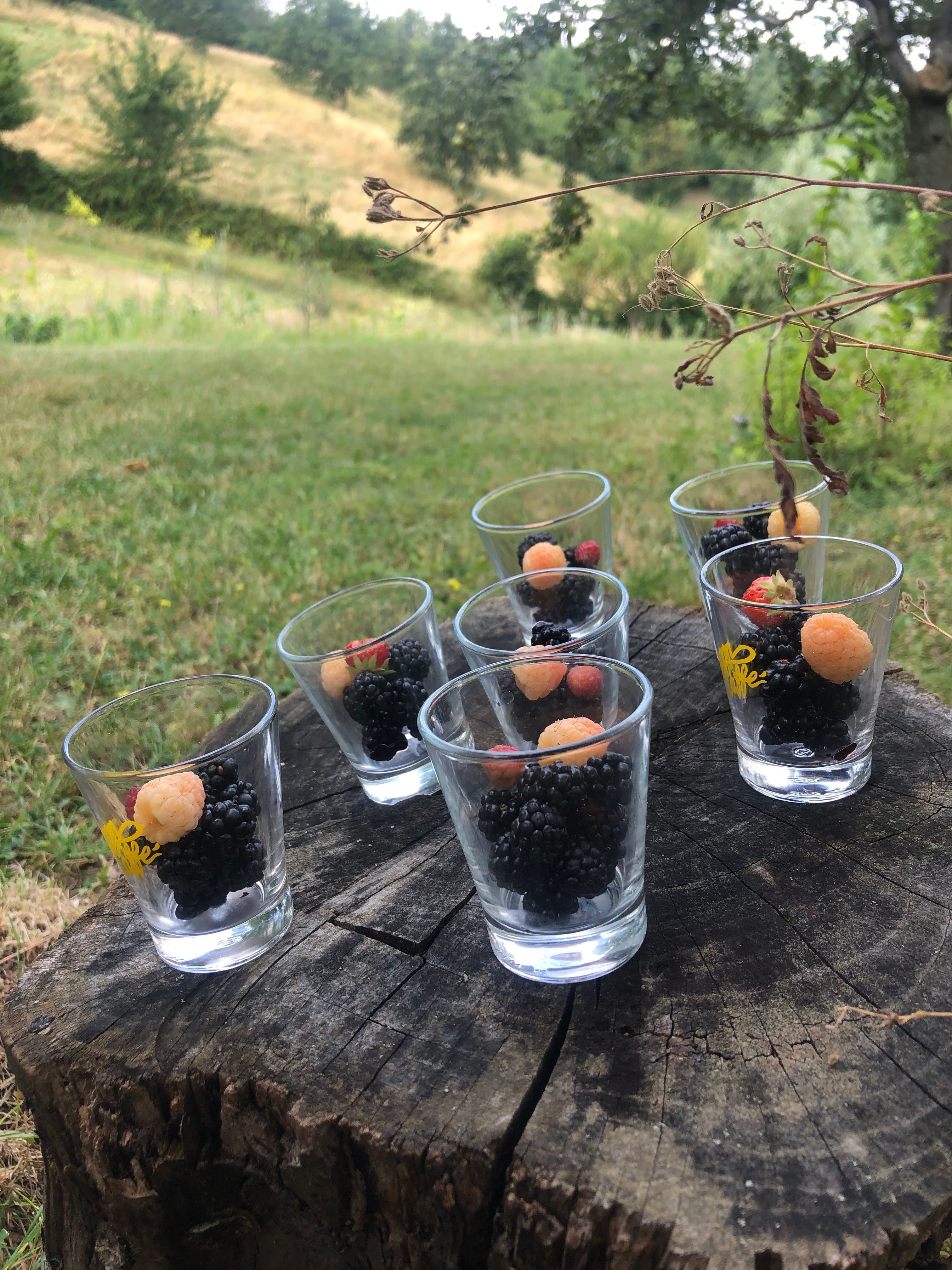 Esperienza in Tenda da 4 presso Az. Agricola "Le Nocciole Degli Dei" sulla Via Degli Dei