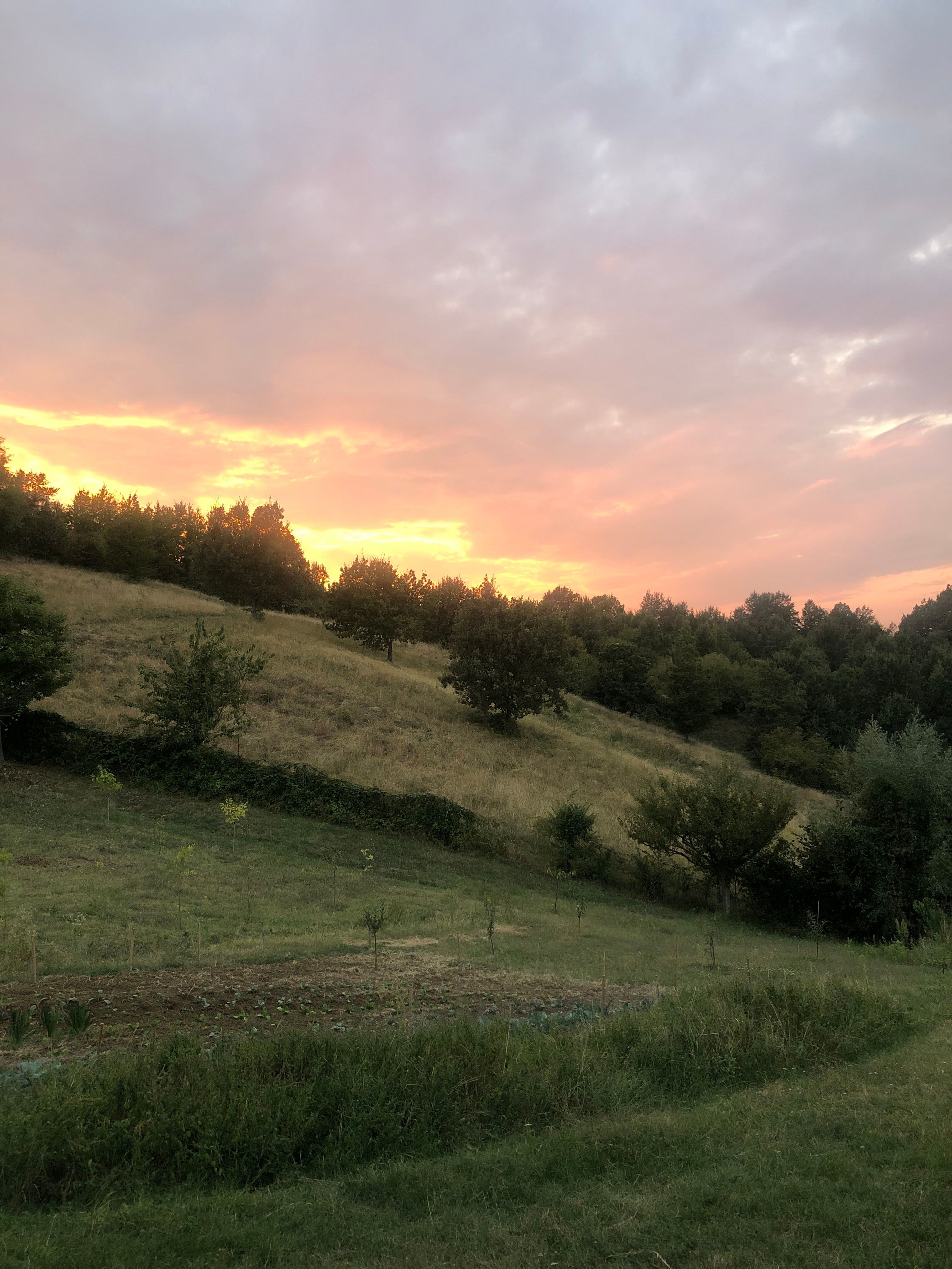 Esperienza in Tenda da 4 presso Az. Agricola "Le Nocciole Degli Dei" sulla Via Degli Dei