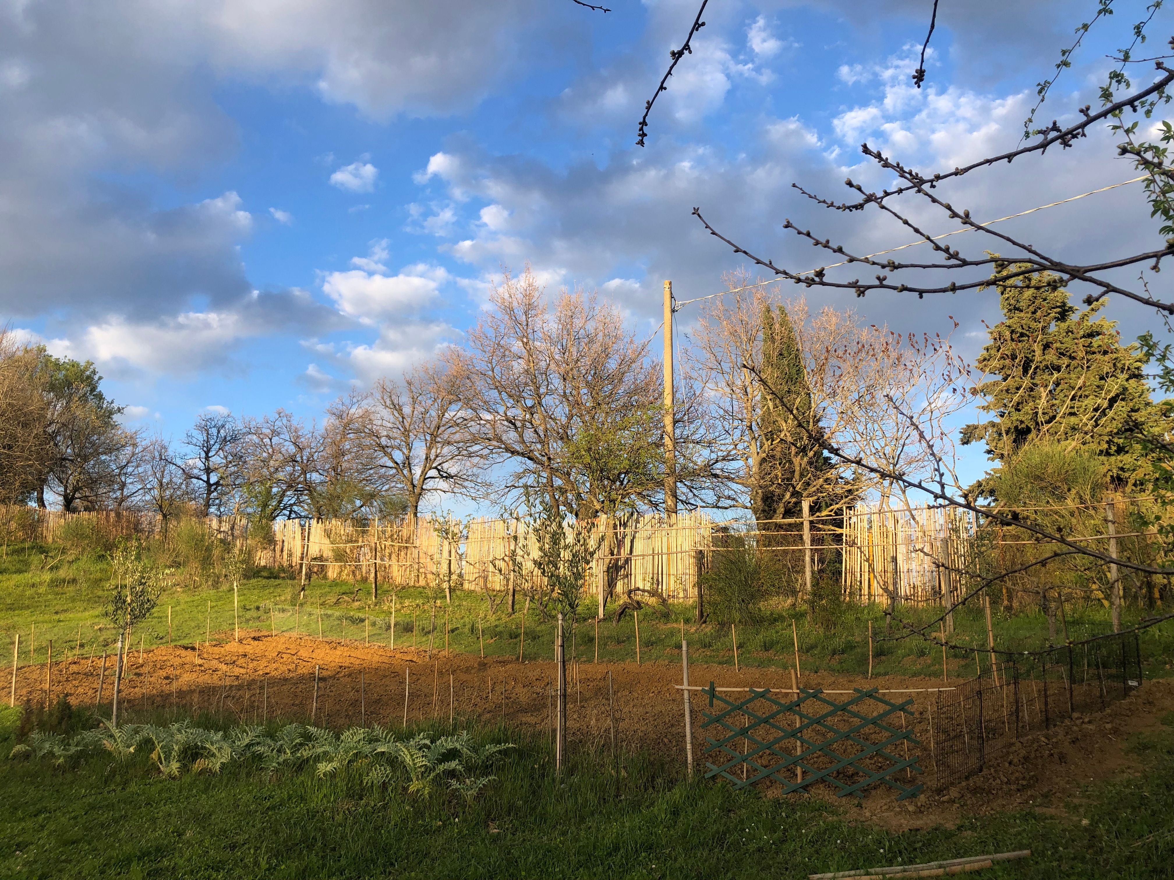 Esperienza in Tenda da 4 presso Az. Agricola "Le Nocciole Degli Dei" sulla Via Degli Dei