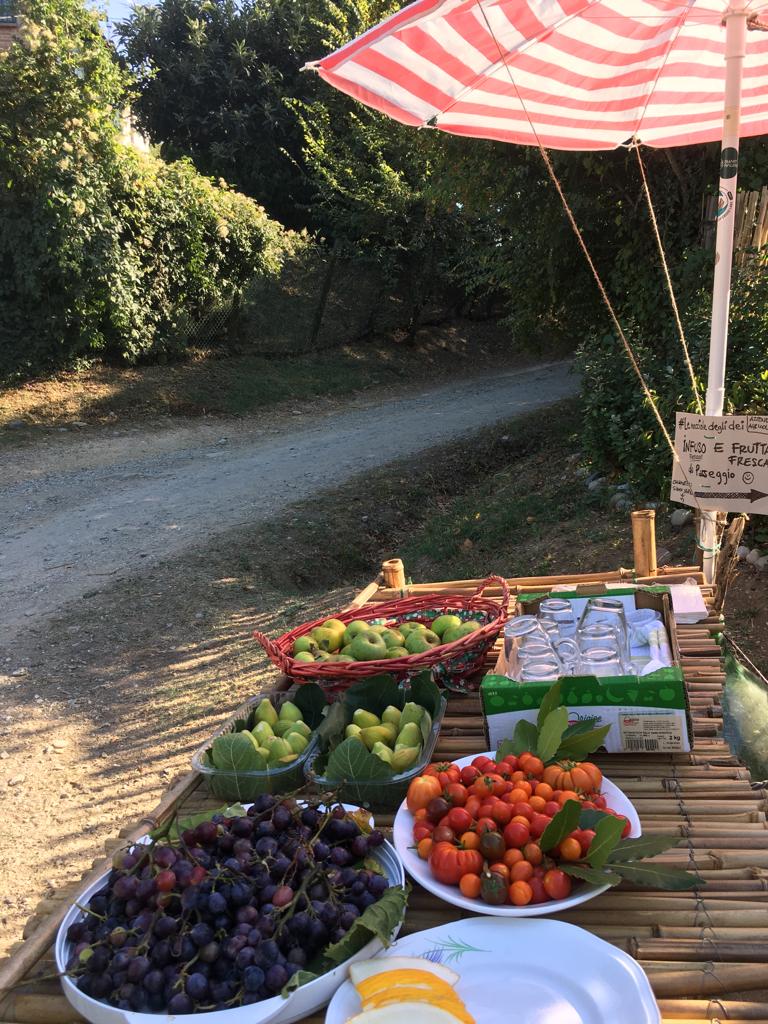 Esperienza in Tenda da 4 presso Az. Agricola "Le Nocciole Degli Dei" sulla Via Degli Dei