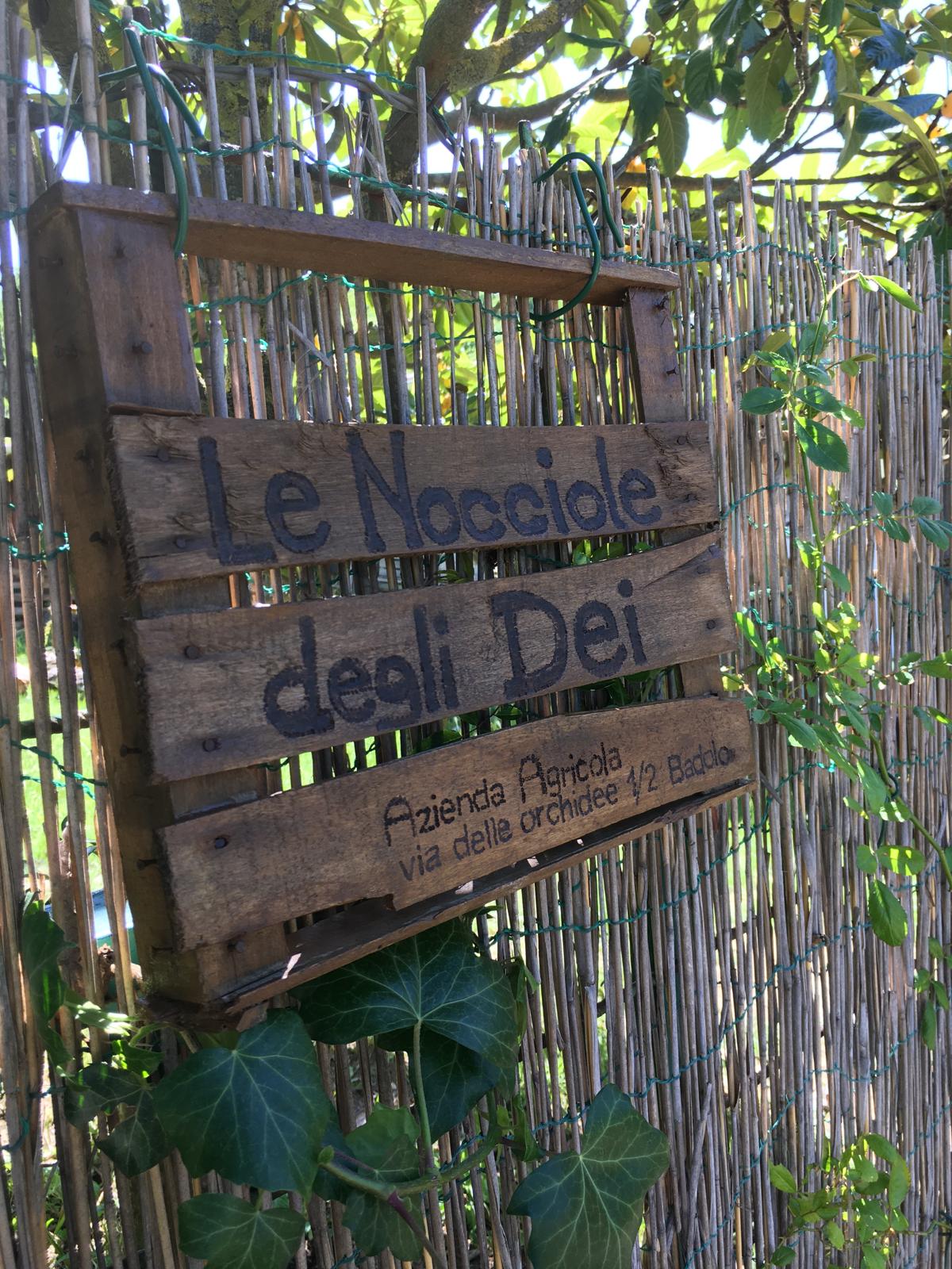 Esperienza in Tenda da 4 presso Az. Agricola "Le Nocciole Degli Dei" sulla Via Degli Dei