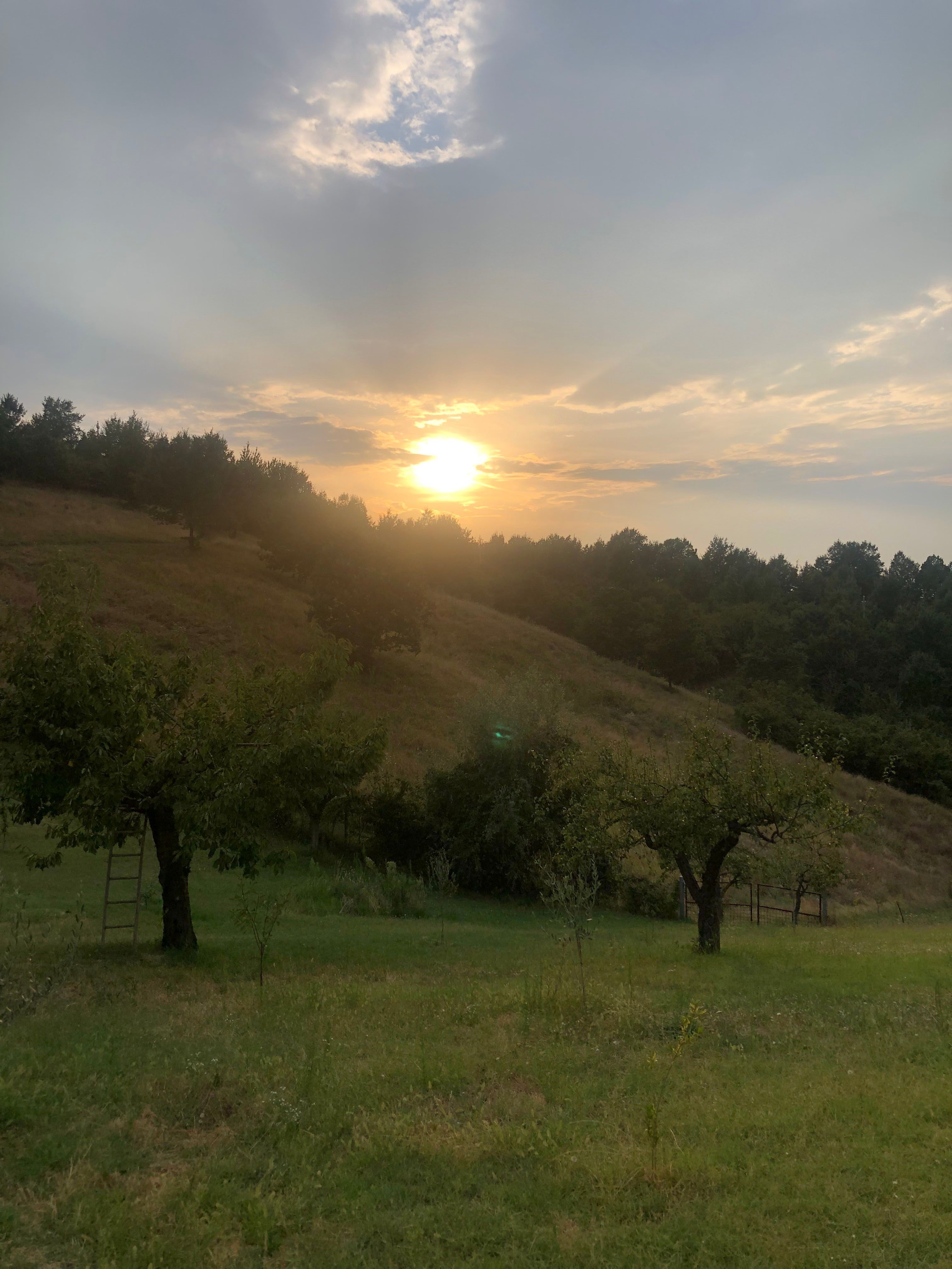 Esperienza in Azienda Agricola “Le Nocciole delle Dei” sulla Via degli Dei. Tenda da 1 persona