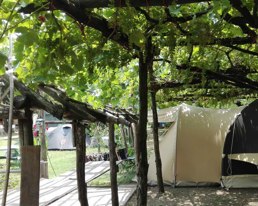 In Camper tra le vigne della Costiera Amalfitana