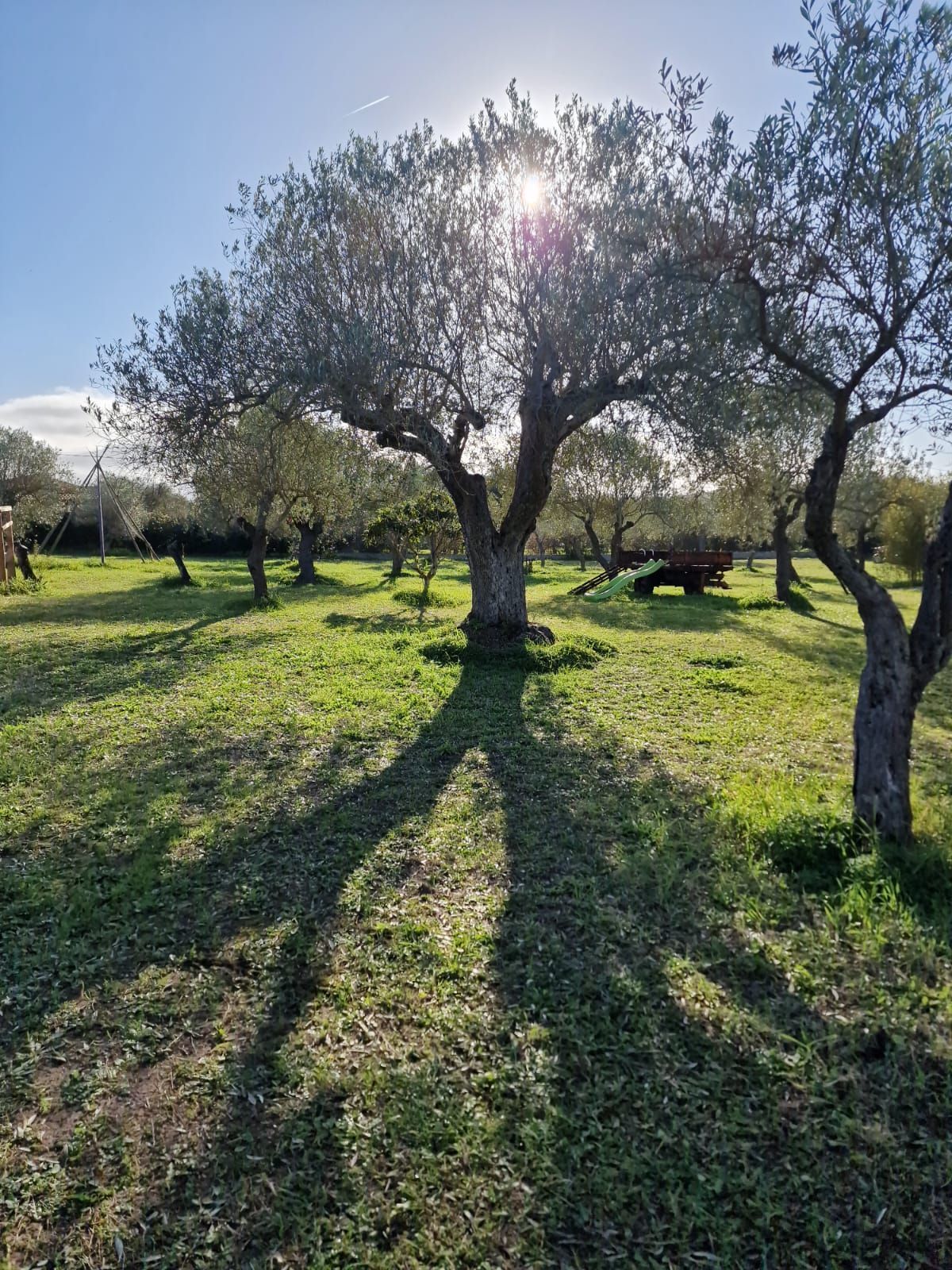 Aruanda: un angolo di pace nella campagna algherese