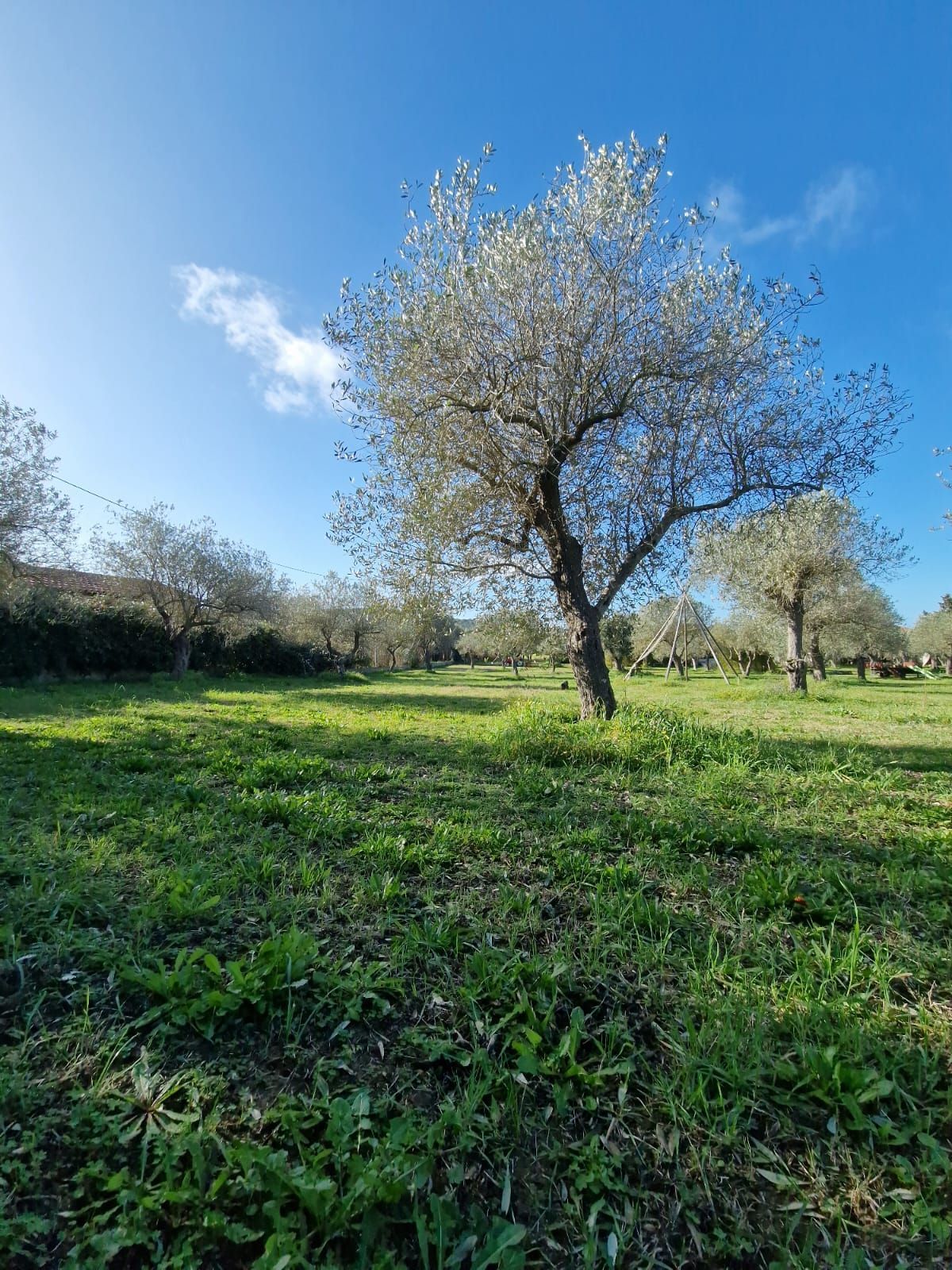 Aruanda: un angolo di pace nella campagna algherese