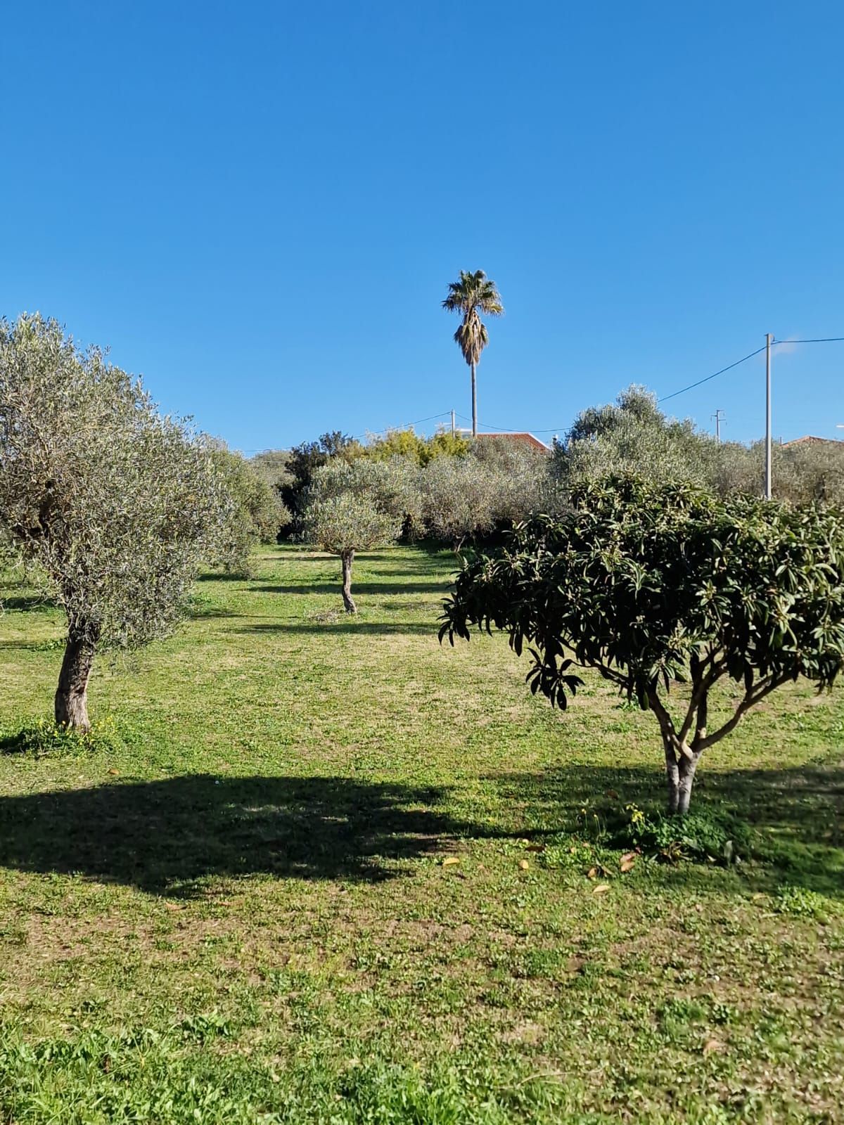 Aruanda: un angolo di pace nella campagna algherese