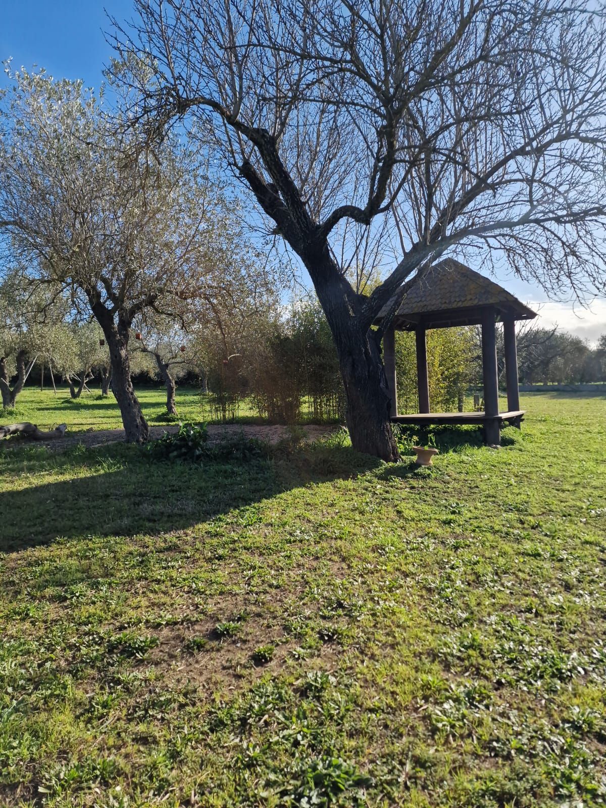 Aruanda: un angolo di pace nella campagna algherese