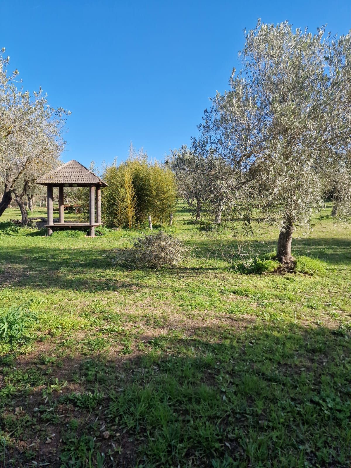 Aruanda: un angolo di pace nella campagna algherese