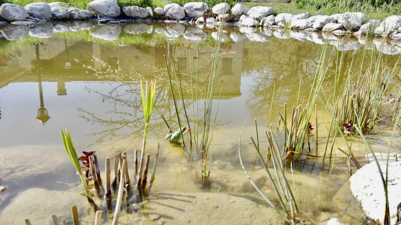 Il Fiordaliso - Relax in camper o roulotte tra montagne e natura a Sarnano