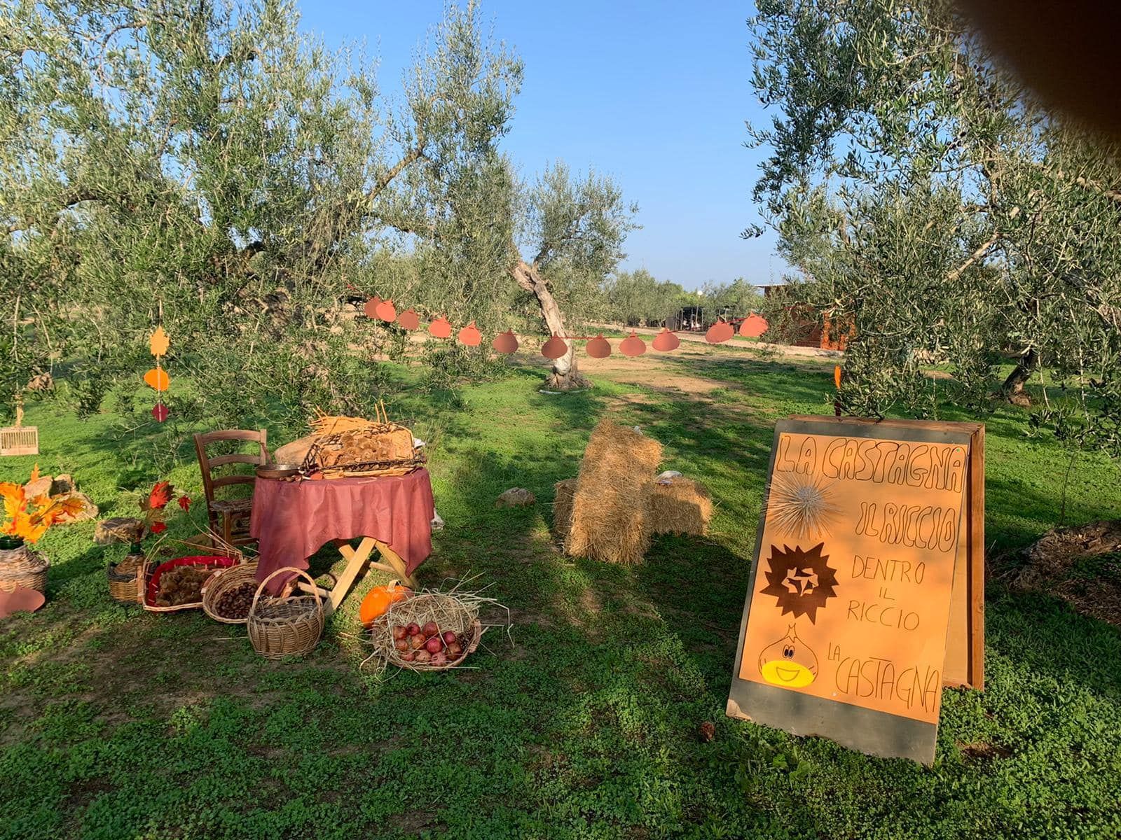 S. Geffa Social Park: ein Erlebnis zwischen Geschichte und Natur