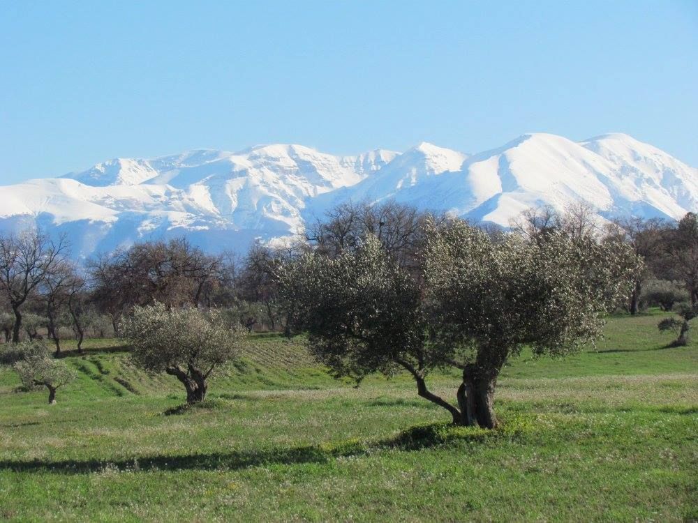 Stellplätze auf einem Bauernhof am Fuße des Gran Sasso