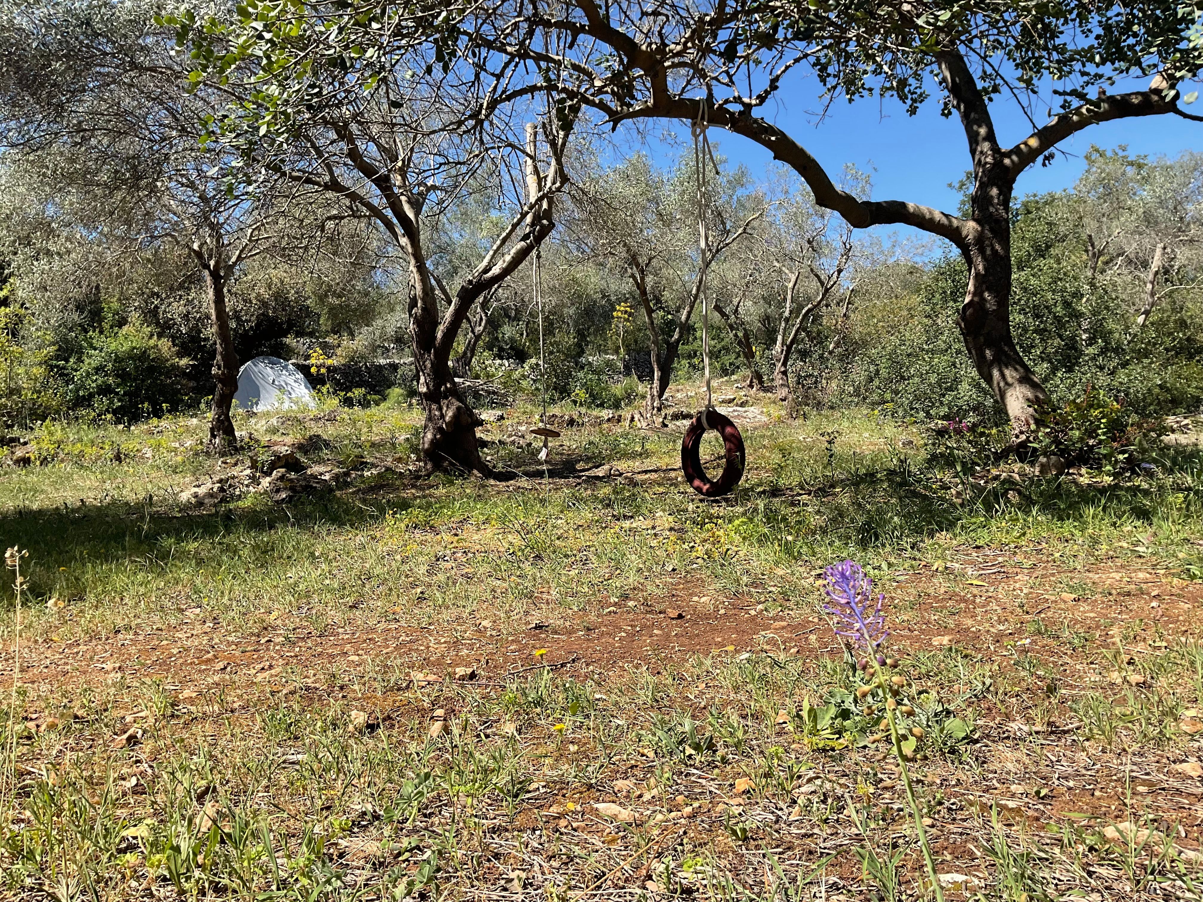 Virdimura glamping tend