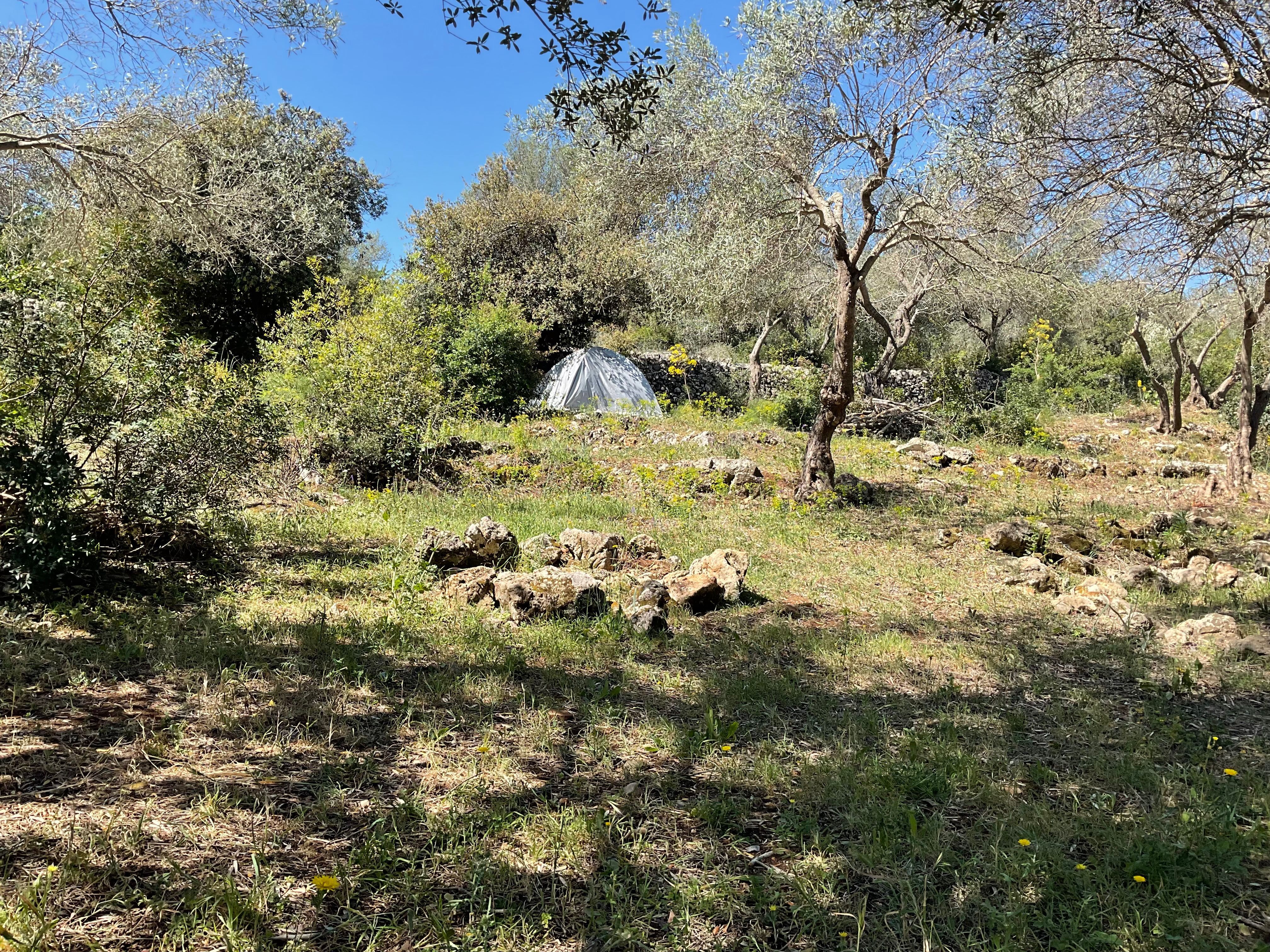 Virdimura glamping tend