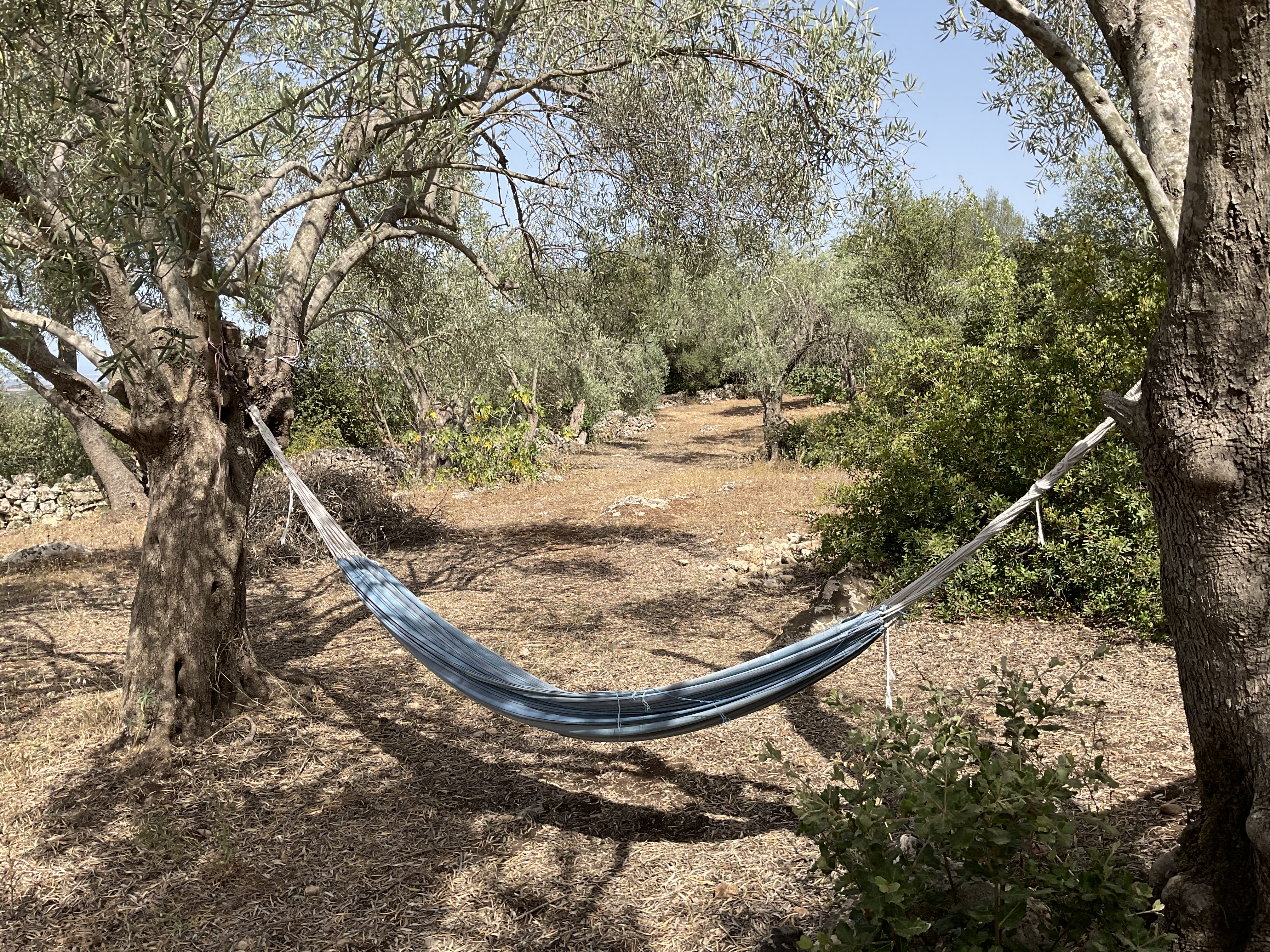Virdimura glamping tend