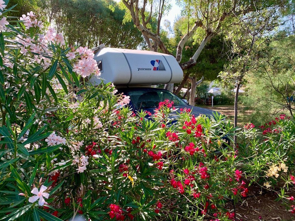 Camping Baia Falcone sul mare del Gargano (Piazzole standard max 5 mt)