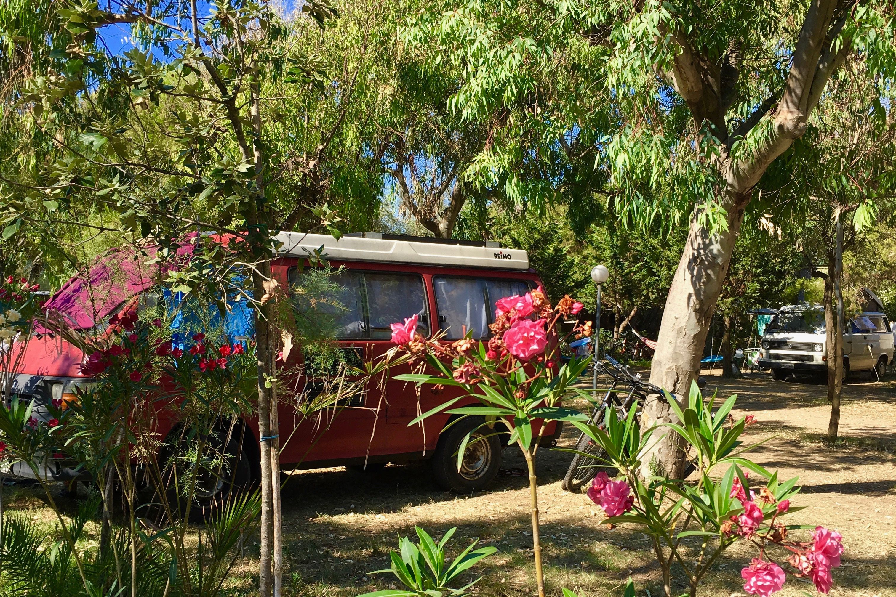 Camping Baia Falcone sul mare del Gargano (Piazzole standard max 5 mt)