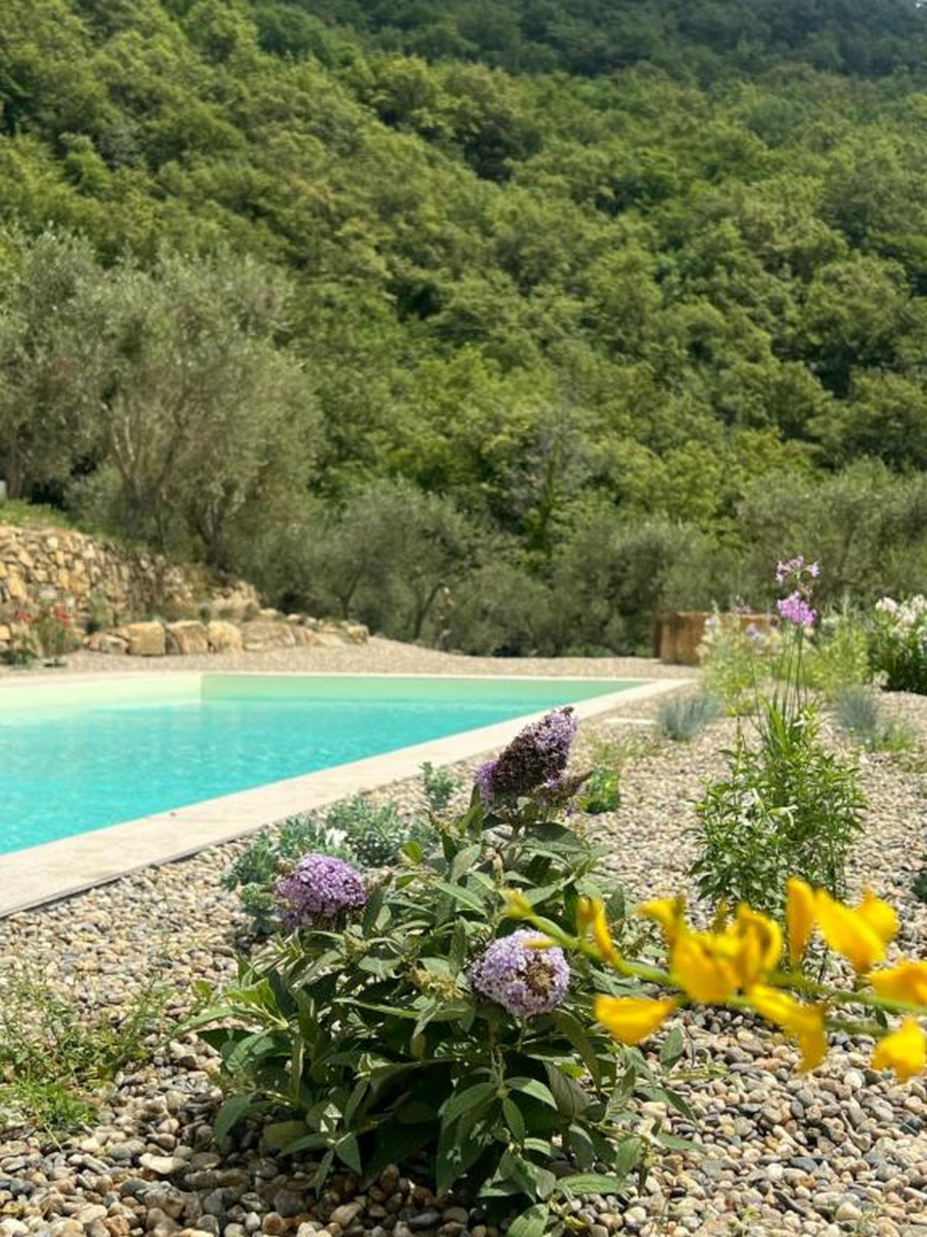 Tendù Family Experience in Liguria
