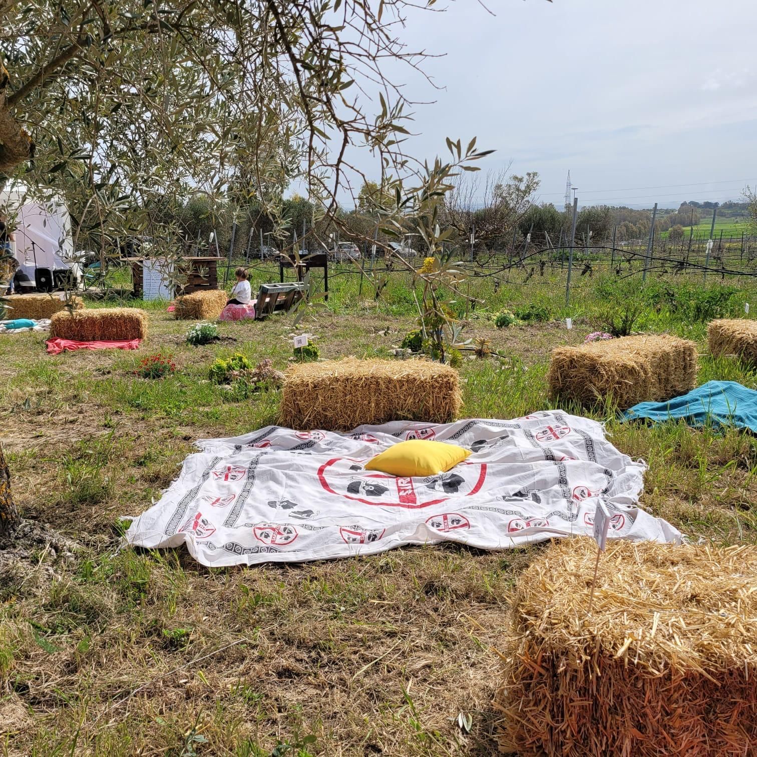 Nella Sardegna più autentica: la Terra dei Sogni di su ‘Pranu Idihi’