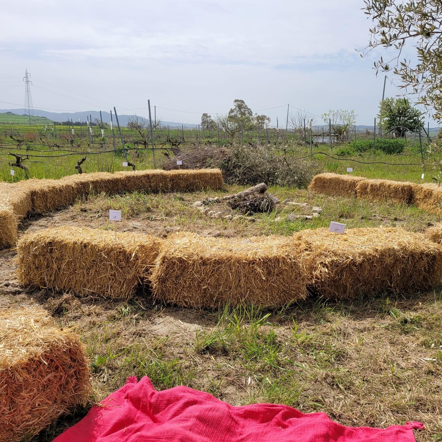 Nella Sardegna più autentica: la Terra dei Sogni di su ‘Pranu Idihi’