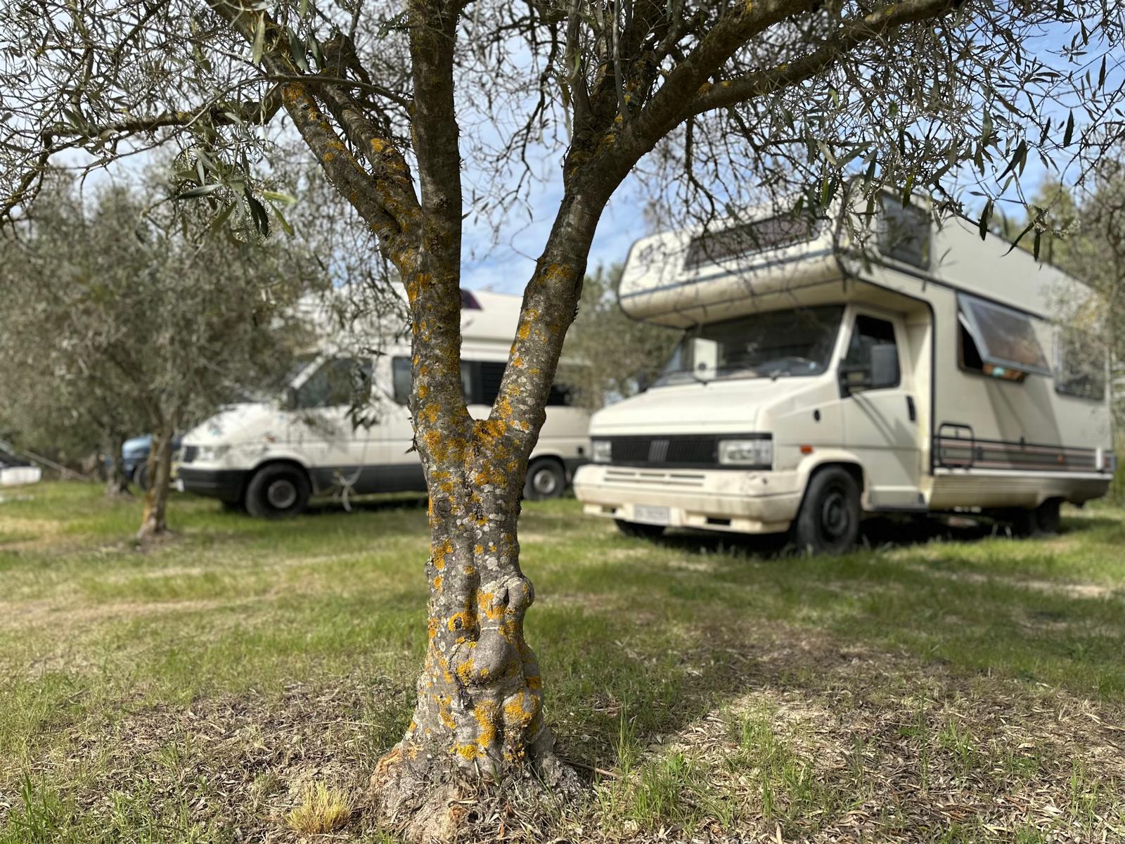 Nella Sardegna più autentica: la Terra dei Sogni di su ‘Pranu Idihi’