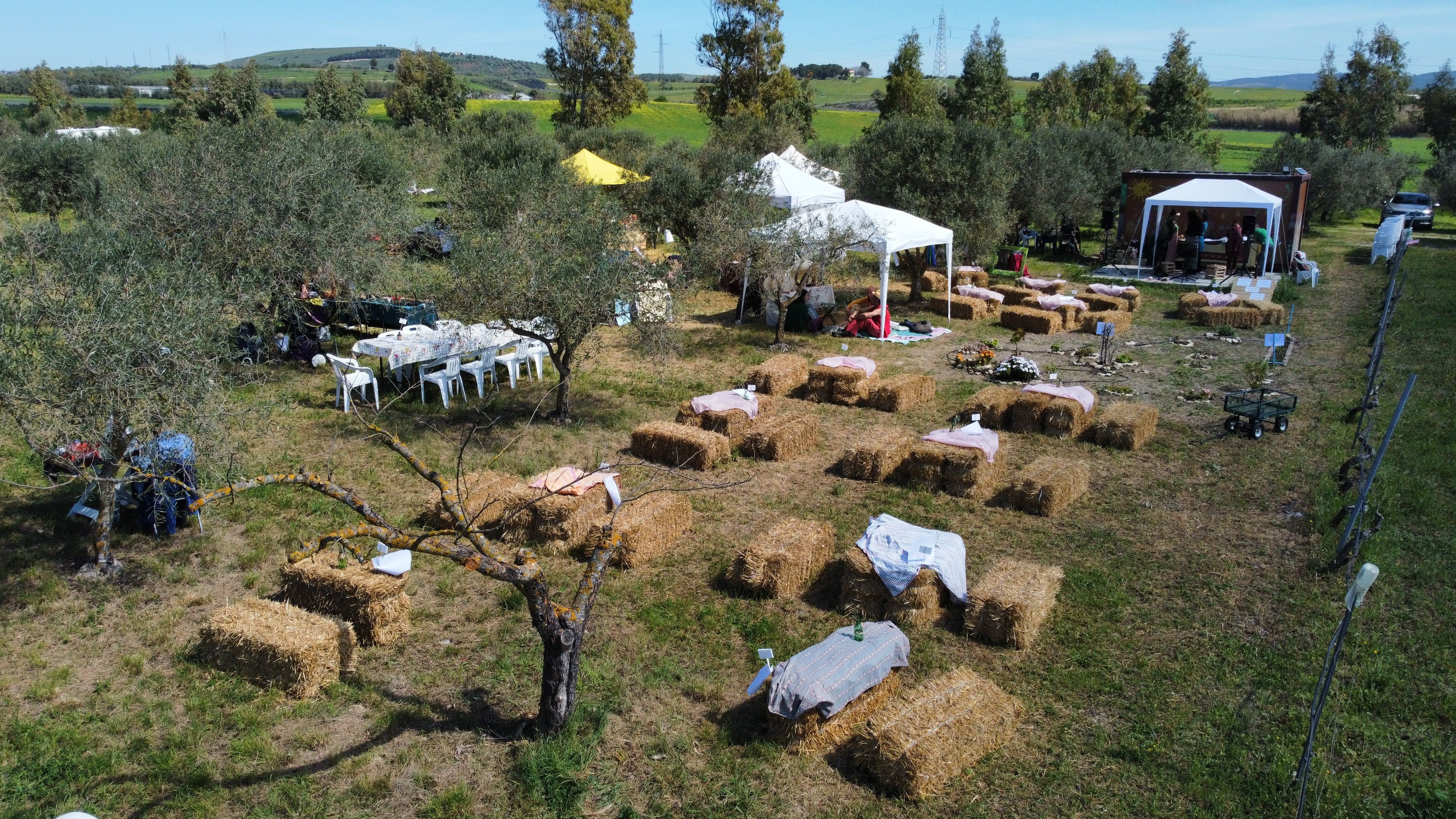 Nella Sardegna più autentica: la Terra dei Sogni di su ‘Pranu Idihi’
