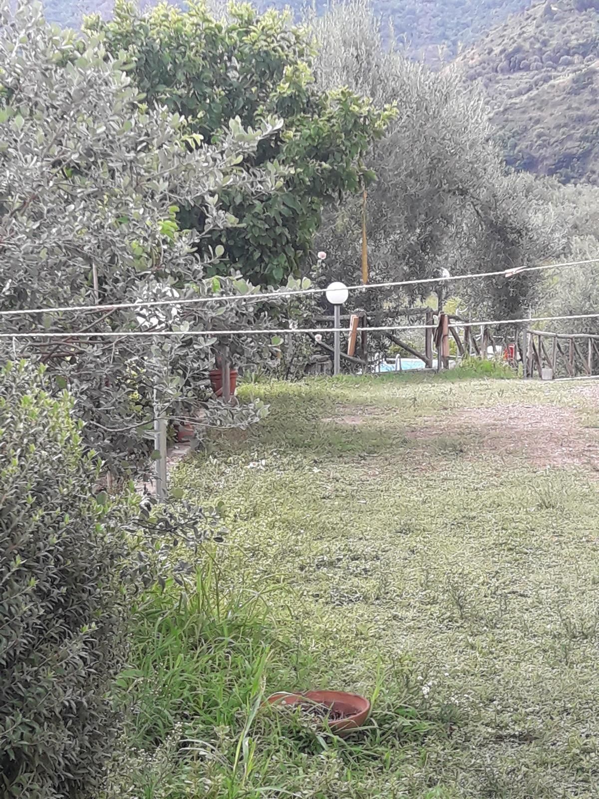 Oasi dell'Armonia: Un Rifugio di Serenità e Natura nei Nebrodi