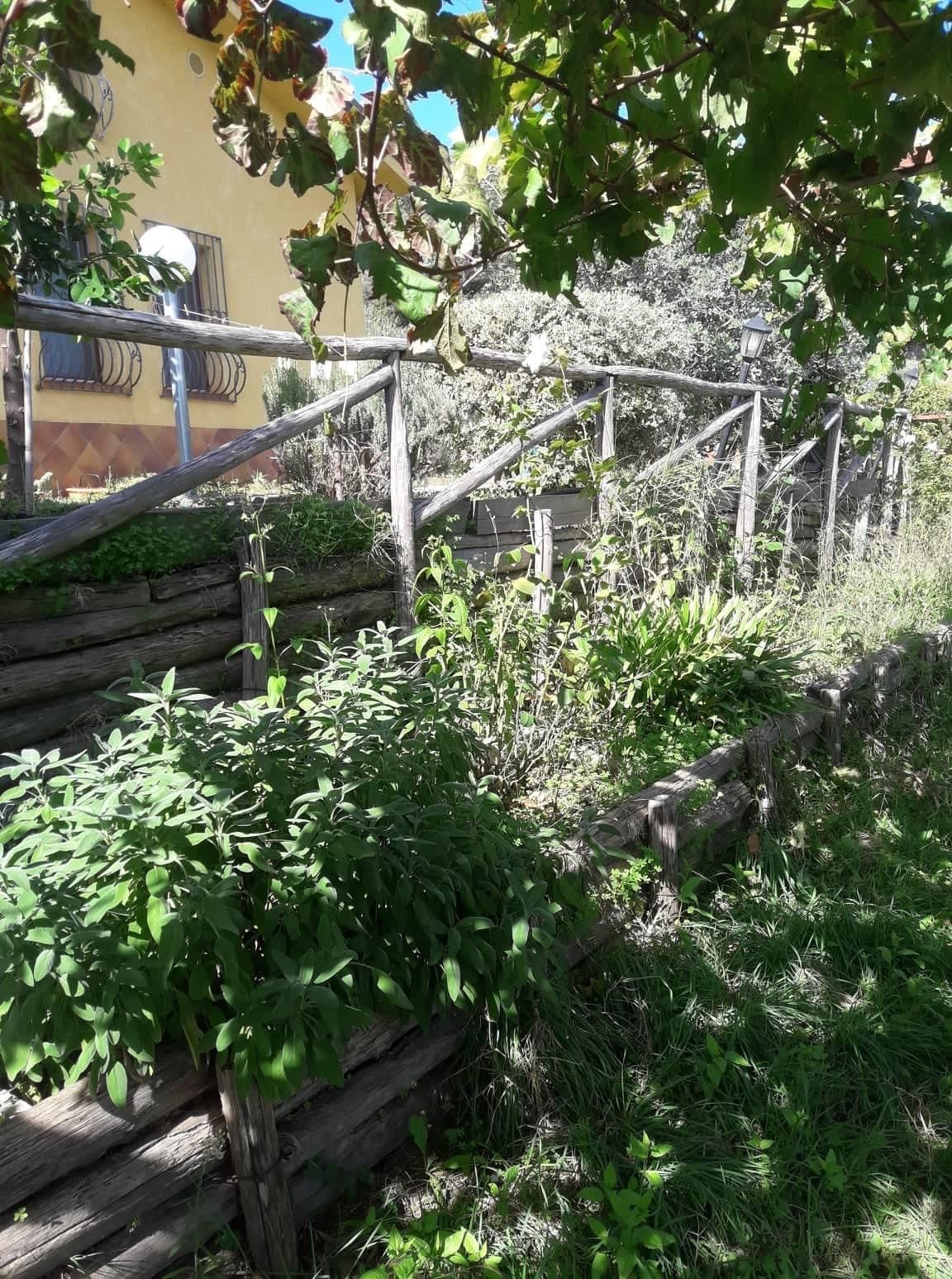 Oasi dell'Armonia: Un Rifugio di Serenità e Natura nei Nebrodi