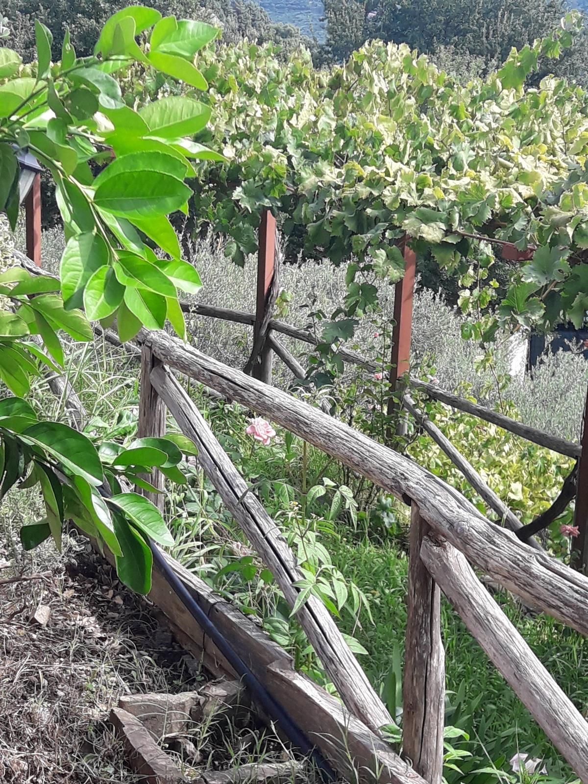 Oasi dell'Armonia: Un Rifugio di Serenità e Natura nei Nebrodi