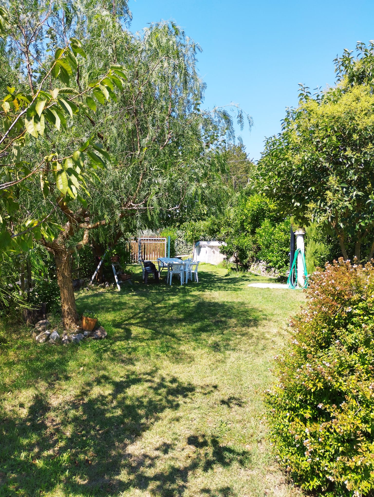 Zone de tentes au milieu des oliviers avec vue panoramique