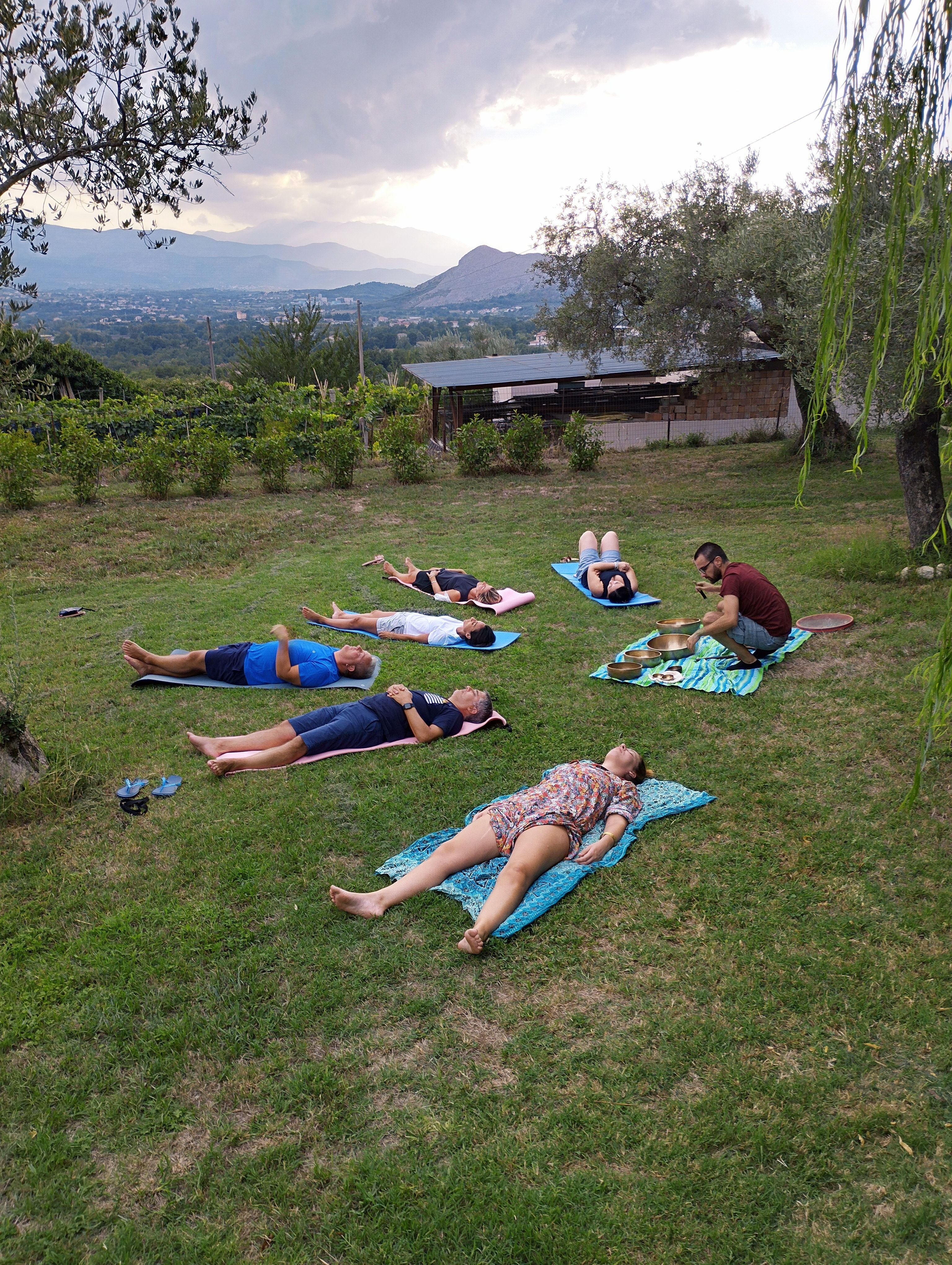 Zone de tentes au milieu des oliviers avec vue panoramique