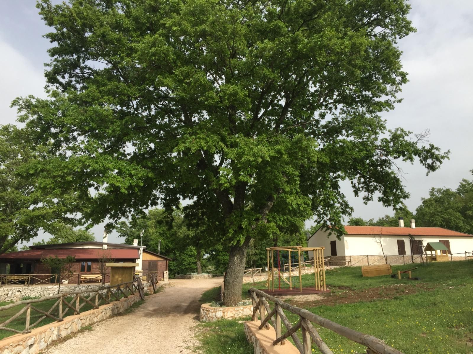 Camere con vista nel cuore del Parco Nazionale del Gargano