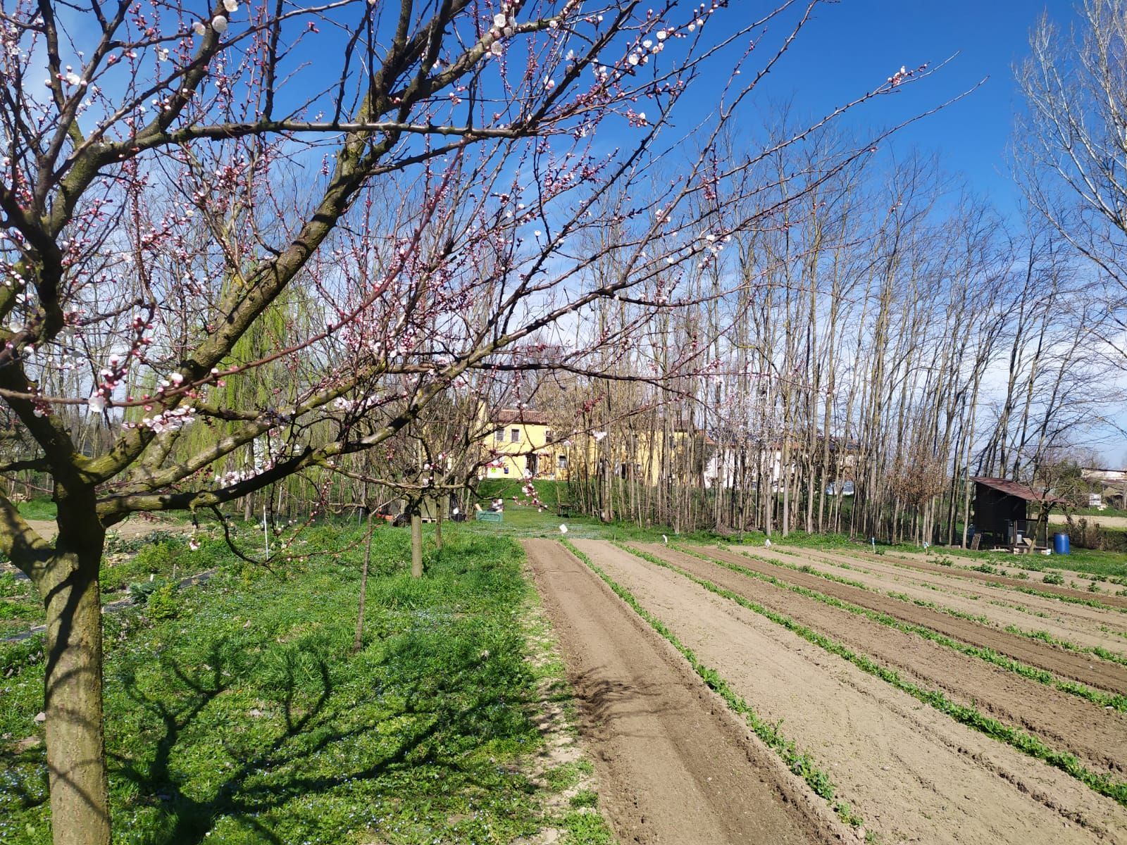 La casa del pescatore vicino Rovigo