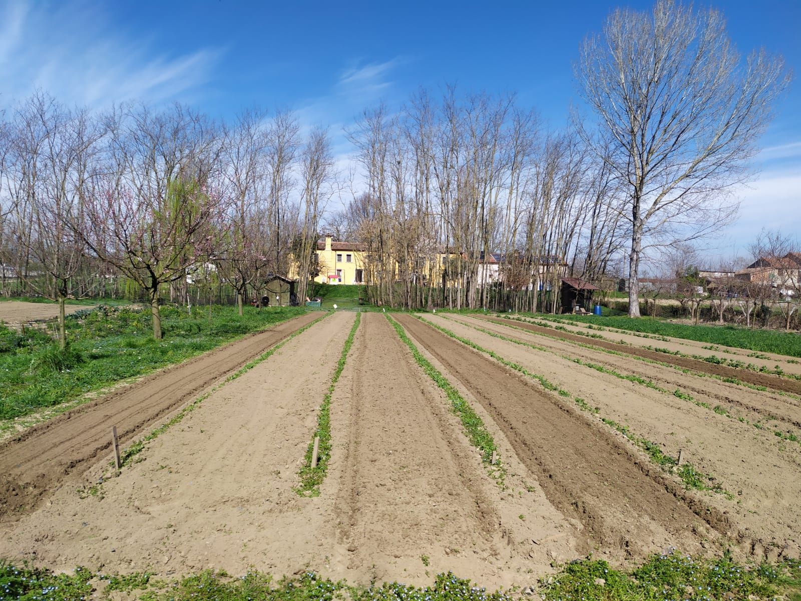 La casa del pescatore vicino Rovigo