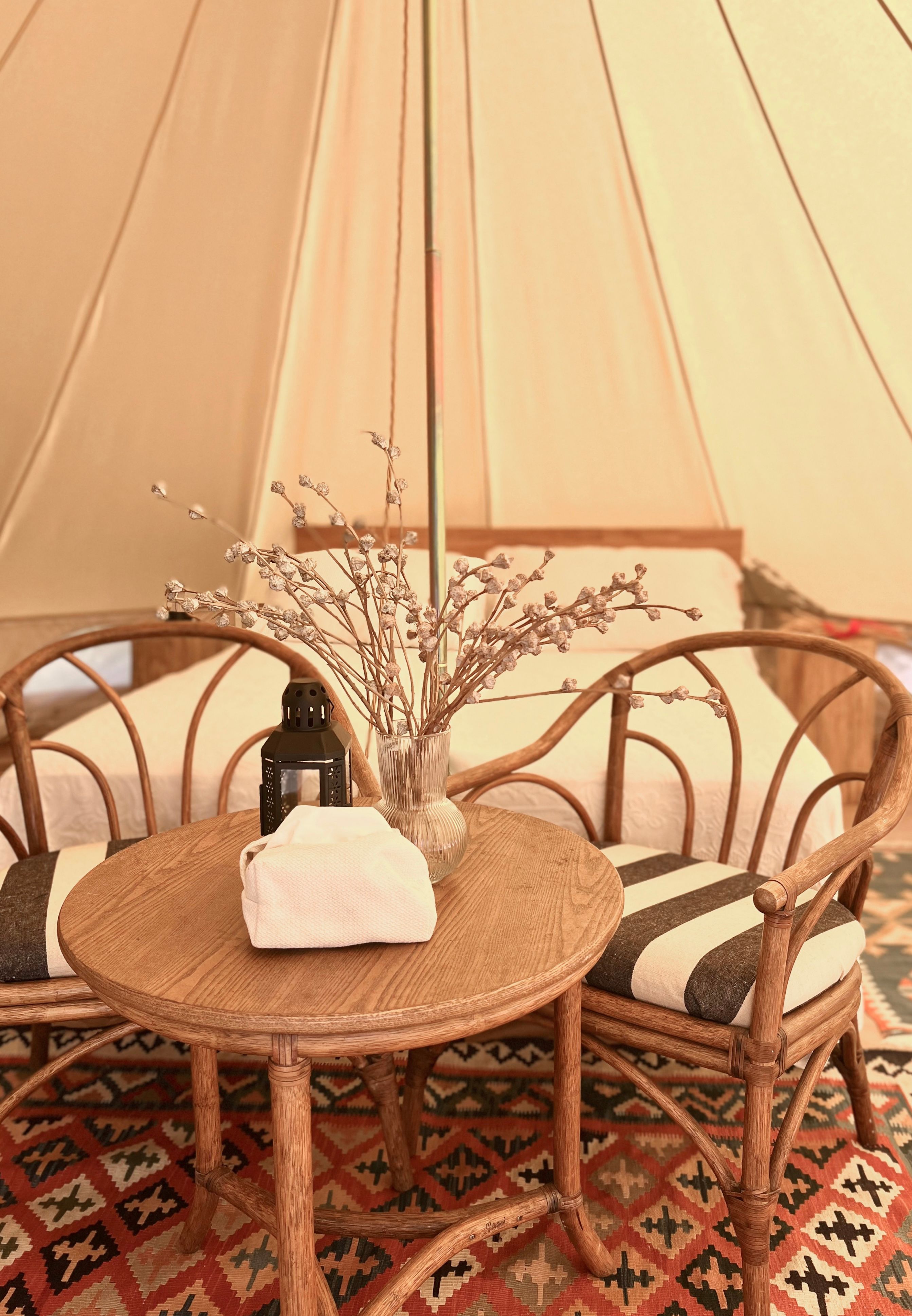 Stecadó Glamping - Ein romantischer Rückzugsort zwischen Olivenbäumen und Weinbergen in Ligurien