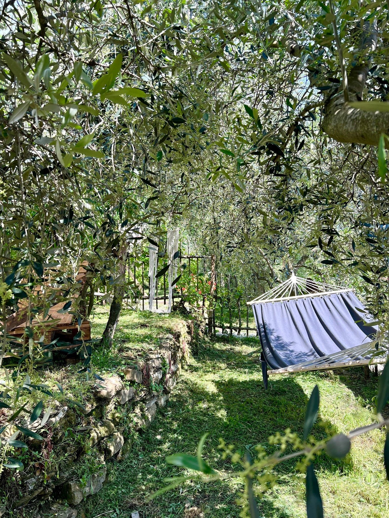 Stecadó Glamping - Ein romantischer Rückzugsort zwischen Olivenbäumen und Weinbergen in Ligurien