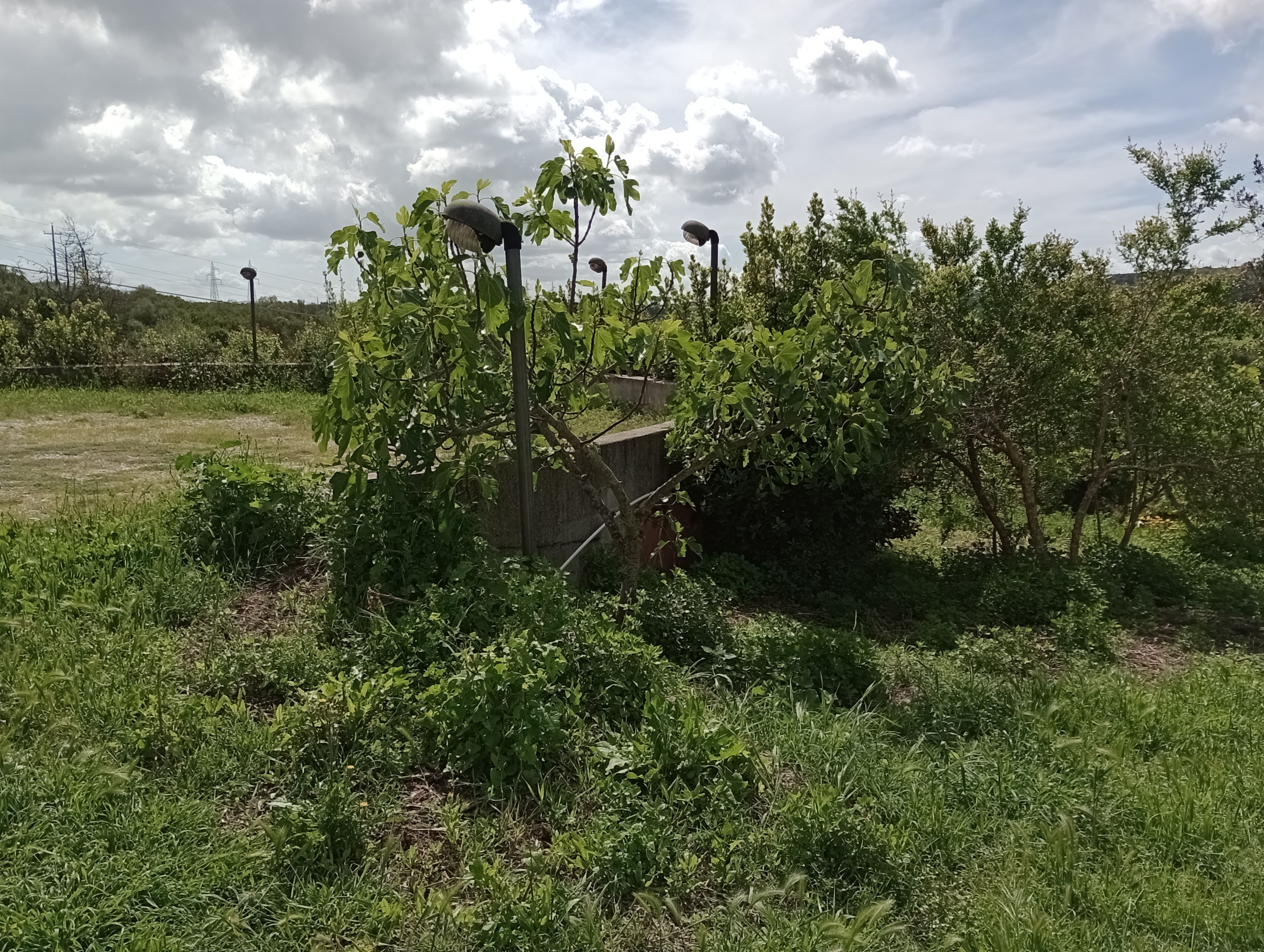 Postazione camper o caravan in Sardegna