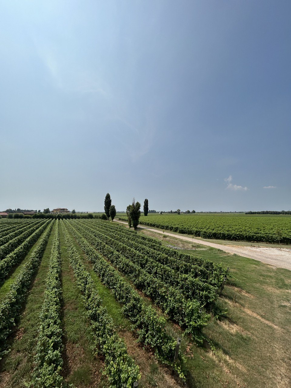 Corte Spinelle - soggiorno tra le vigne del Veneto