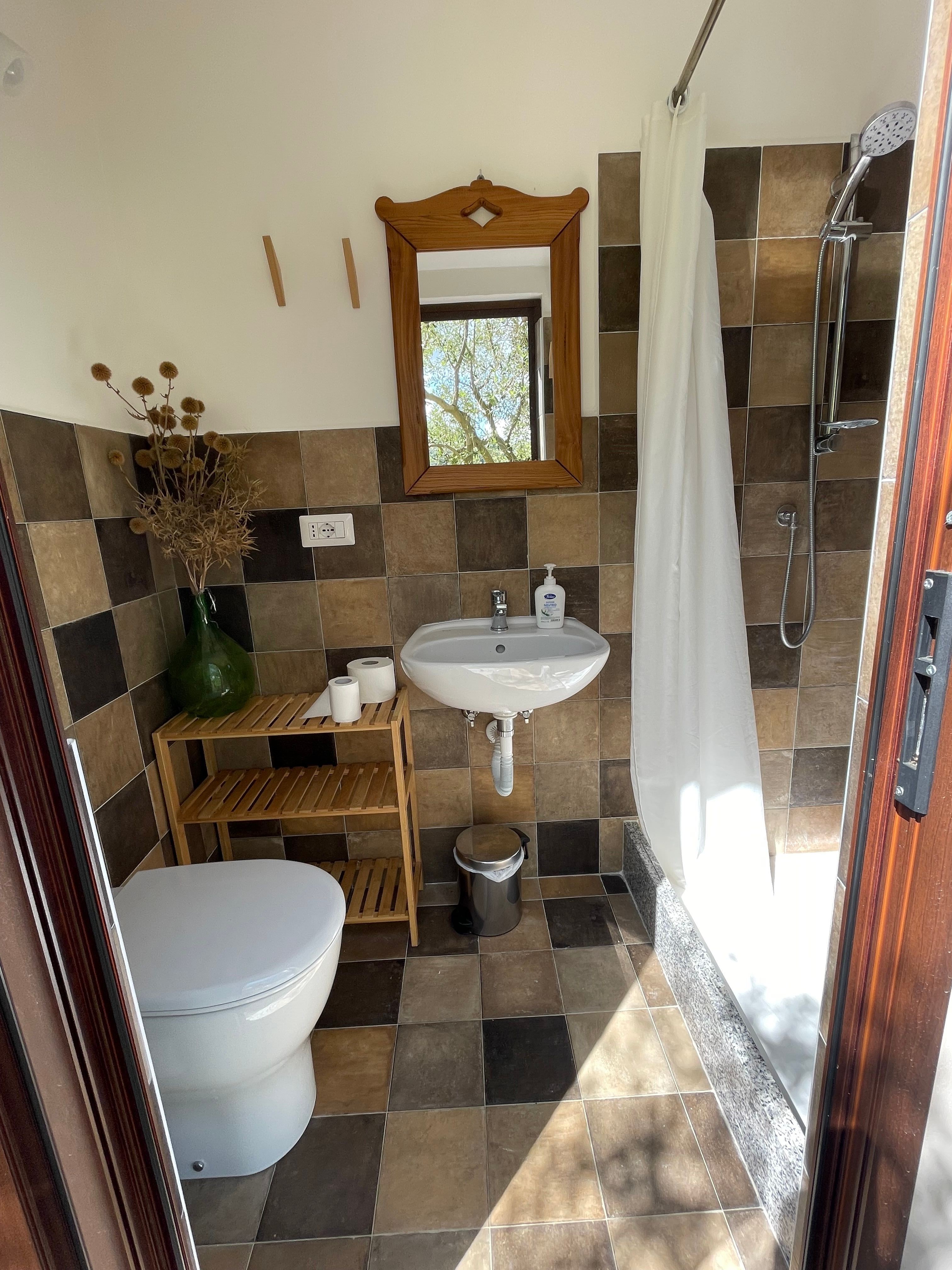 Pace tra gli ulivi nel Cilento