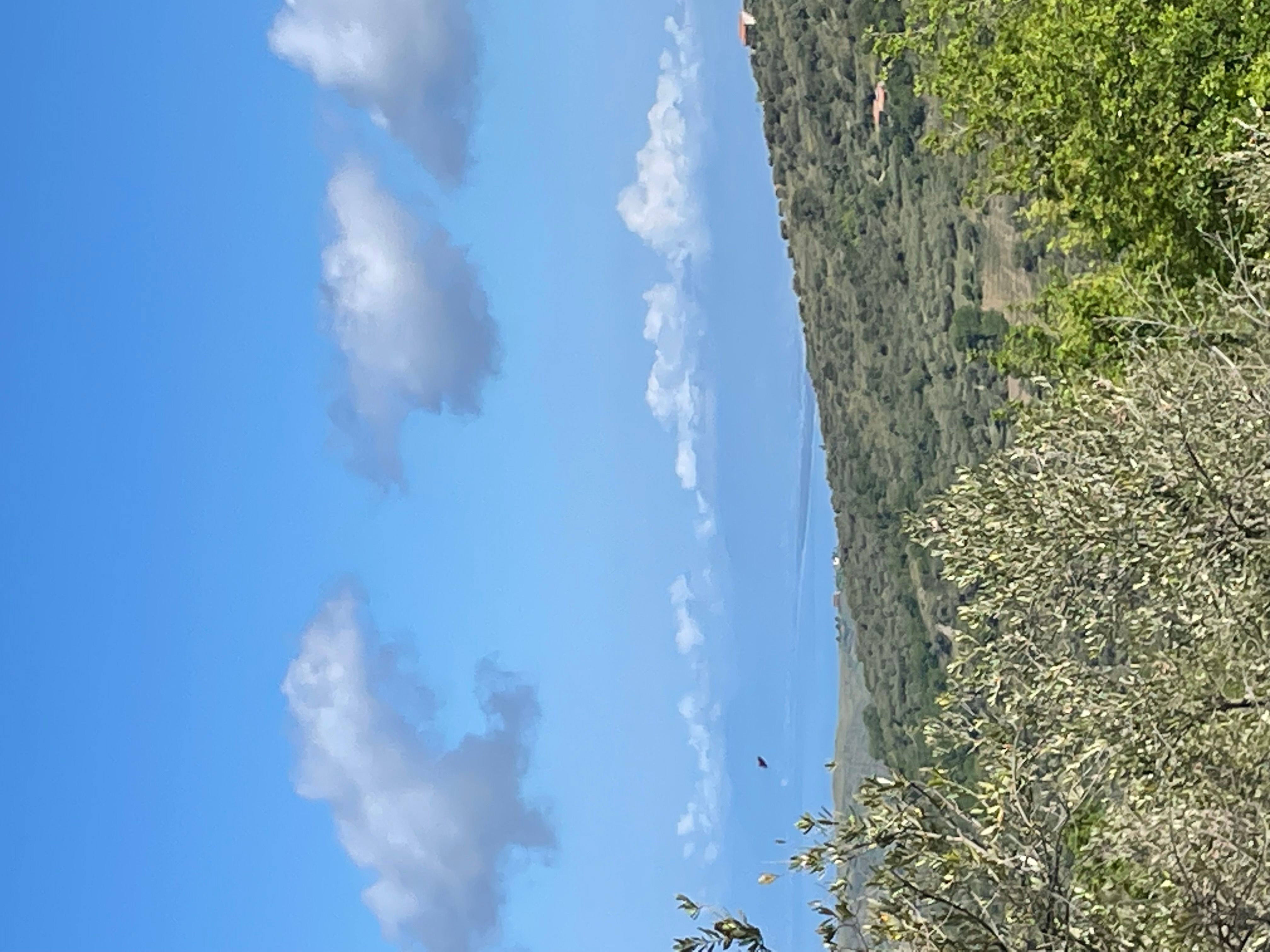 Pace tra gli ulivi nel Cilento