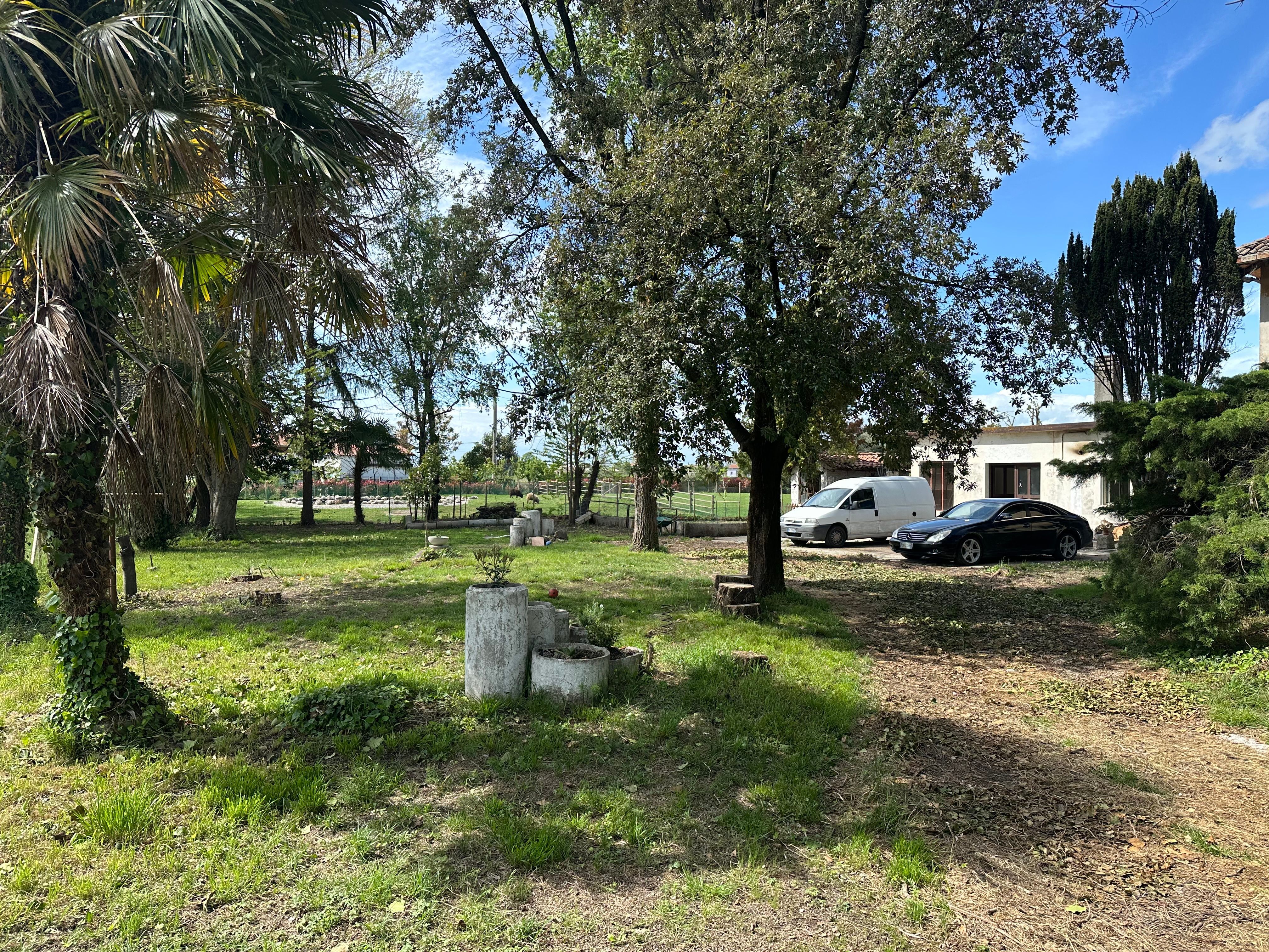 Large and spacious garden with adjoining B&B