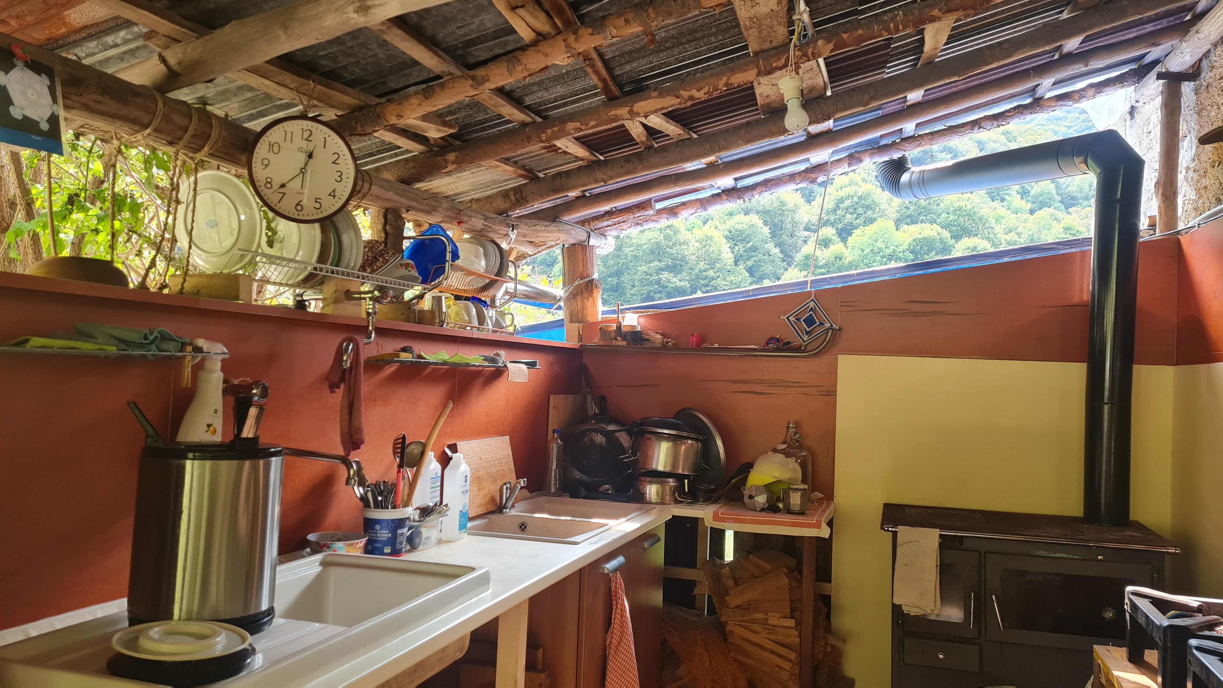 Birch Heart: Heiliger Raum der digitalen Entgiftung in unberührter Natur