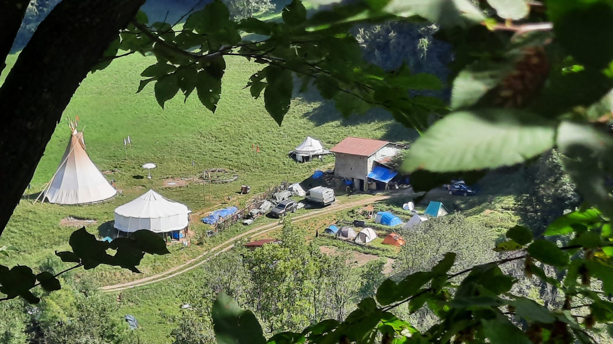 Birch Heart: Heiliger Raum der digitalen Entgiftung in unberührter Natur