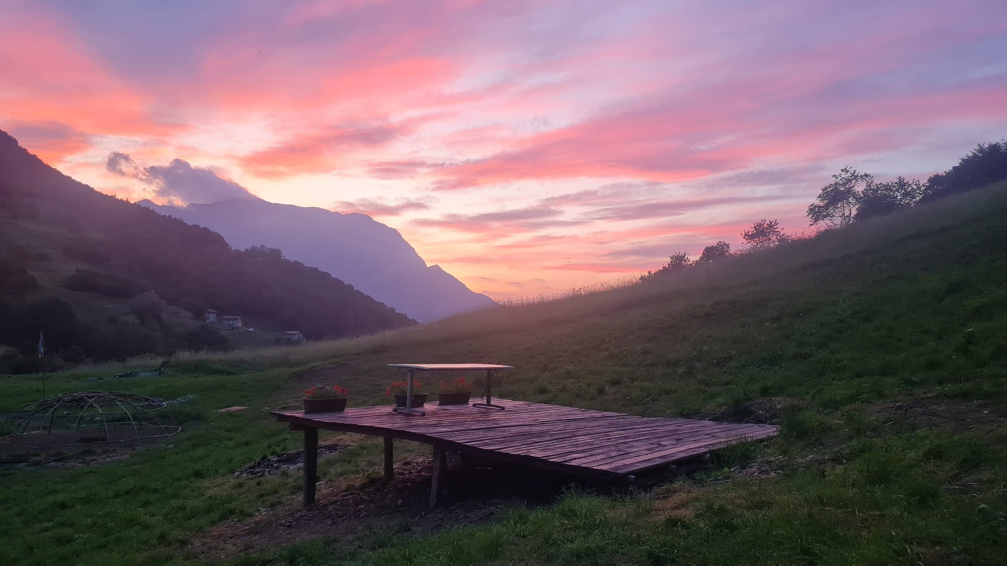 Birch Heart: Heiliger Raum der digitalen Entgiftung in unberührter Natur