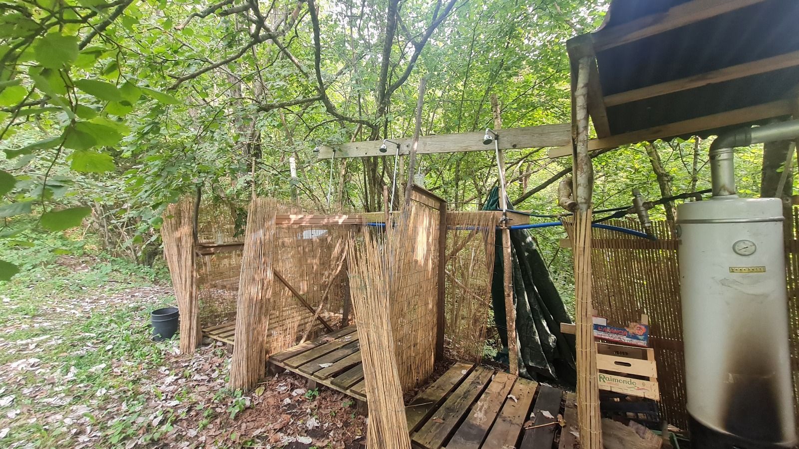 Birch Heart: Heiliger Raum der digitalen Entgiftung in unberührter Natur